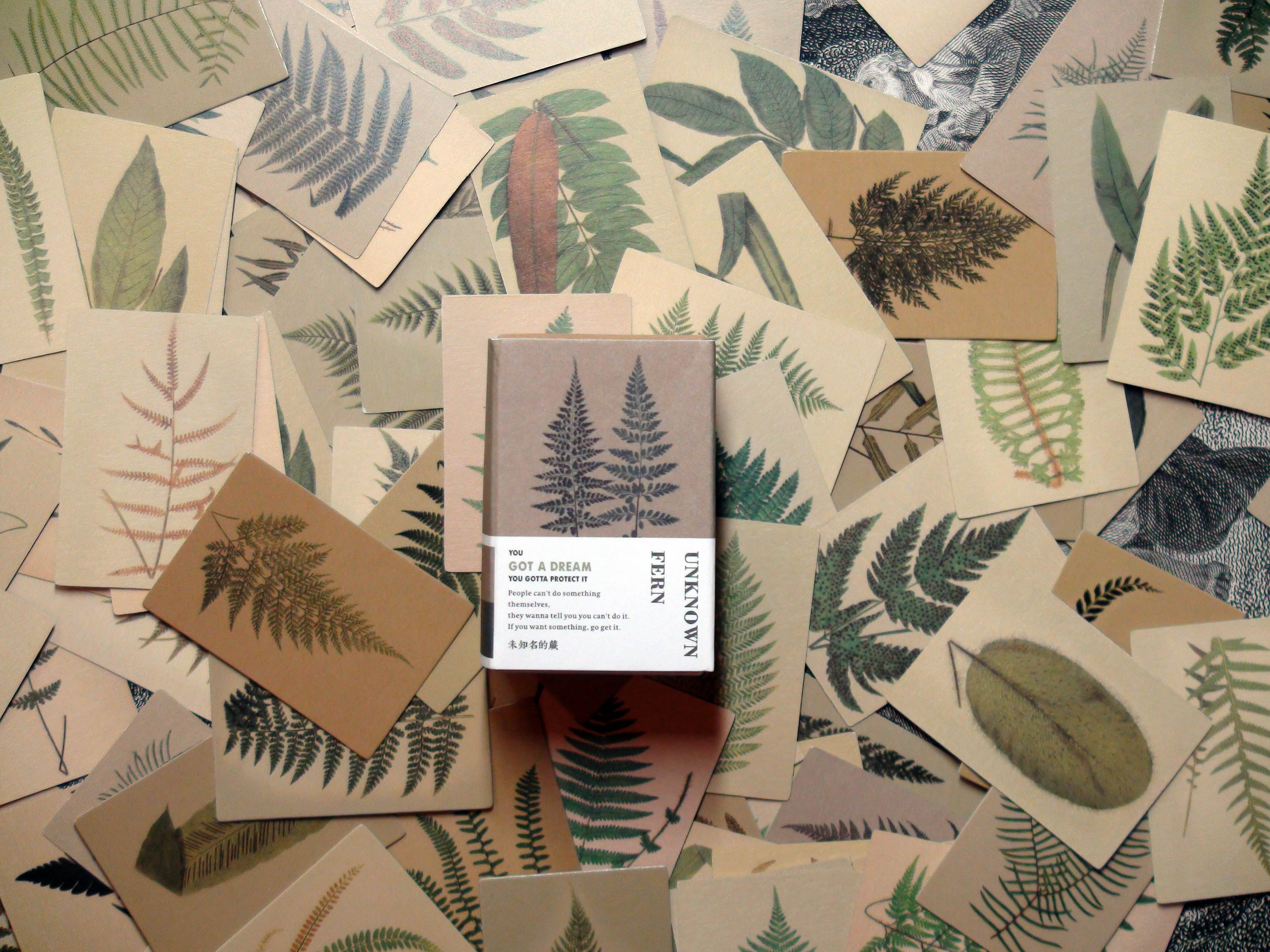Ferns, 100 Double-Sided Mini Cards, Ideal for Scrapbooking Projects, 1.25in x 2in