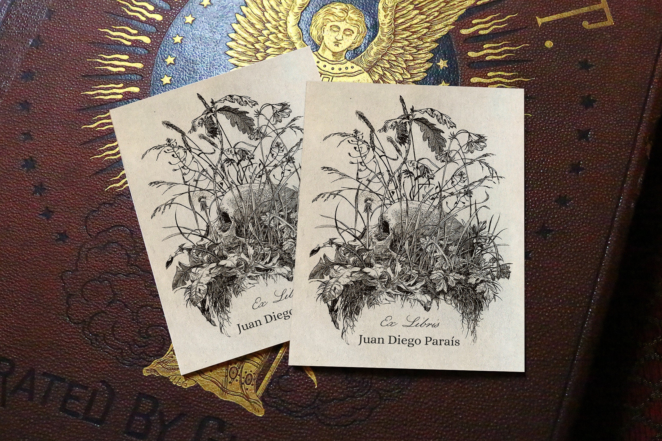 Botanical Skull, Dark Academia, Vanitas, Personalized Ex-Libris Bookplates, Crafted on Traditional Gummed Paper, 3in x 4in, Set of 30