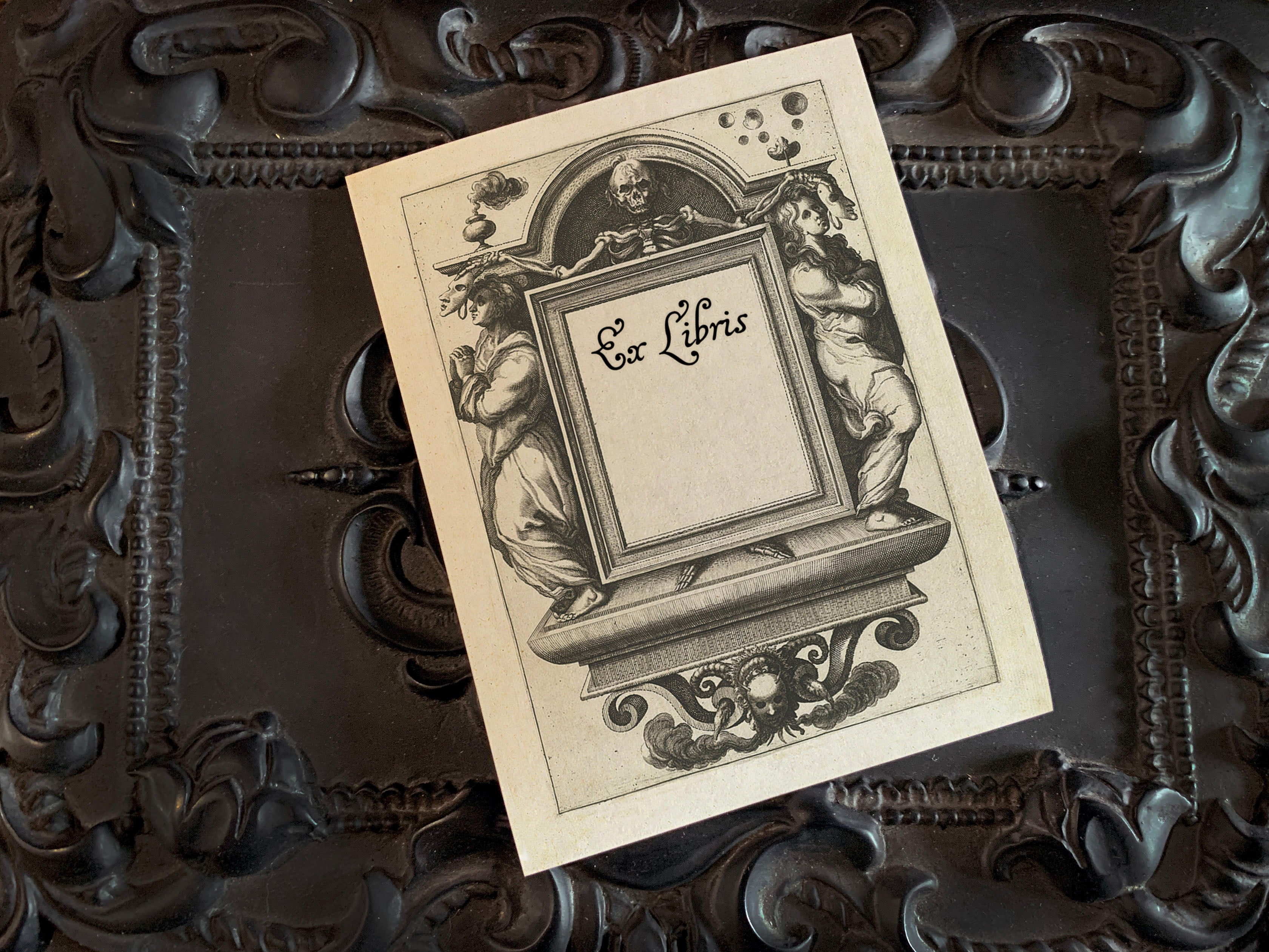 Deathly Unmasking, Gothic Personalized Gothic Ex-Libris Bookplates, Crafted on Traditional Gummed Paper, 3in x 4in, Set of 30