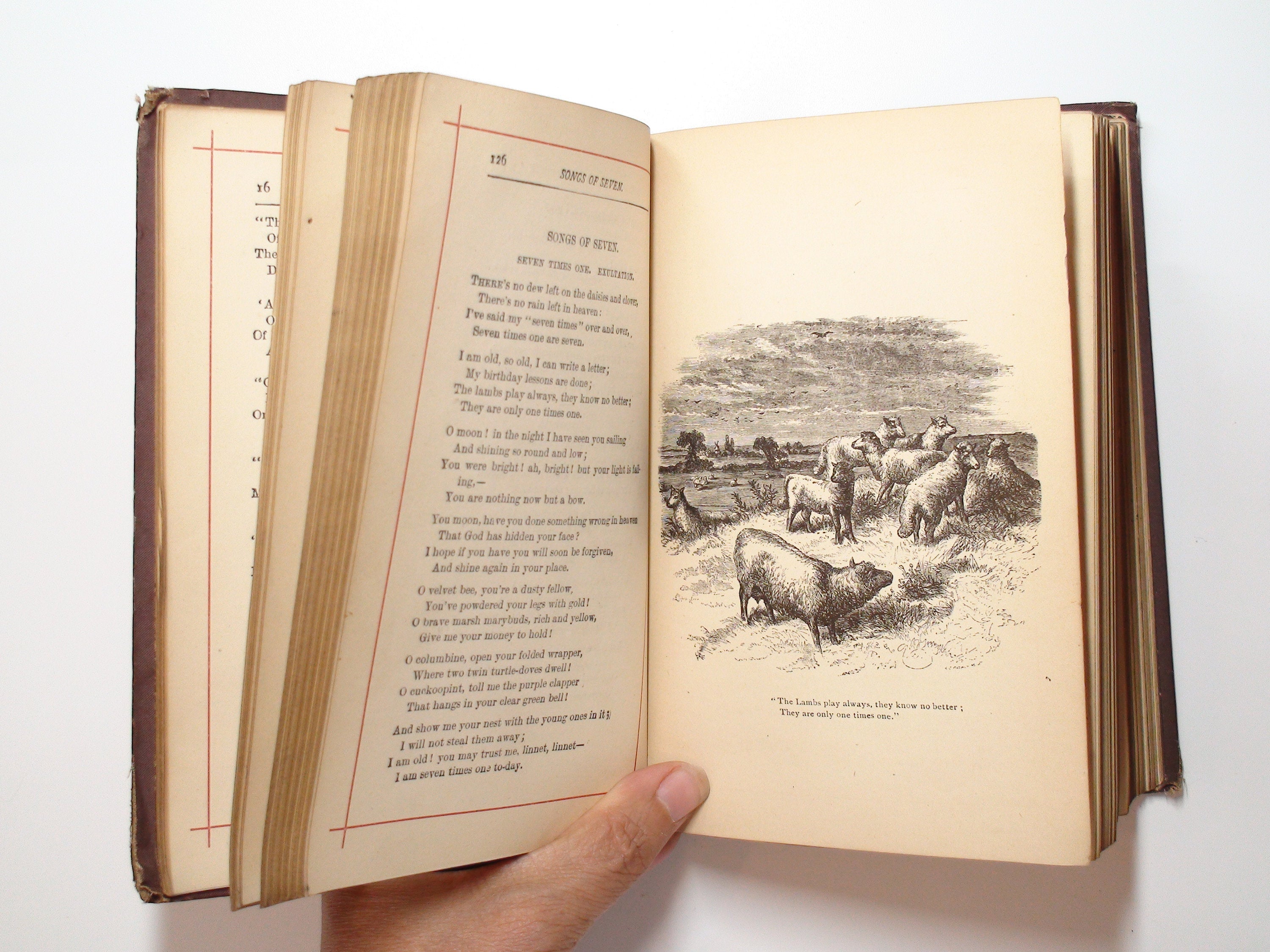 The Poetical Works of Jean Ingelow, Illustrated, Victorian Binding, 1881