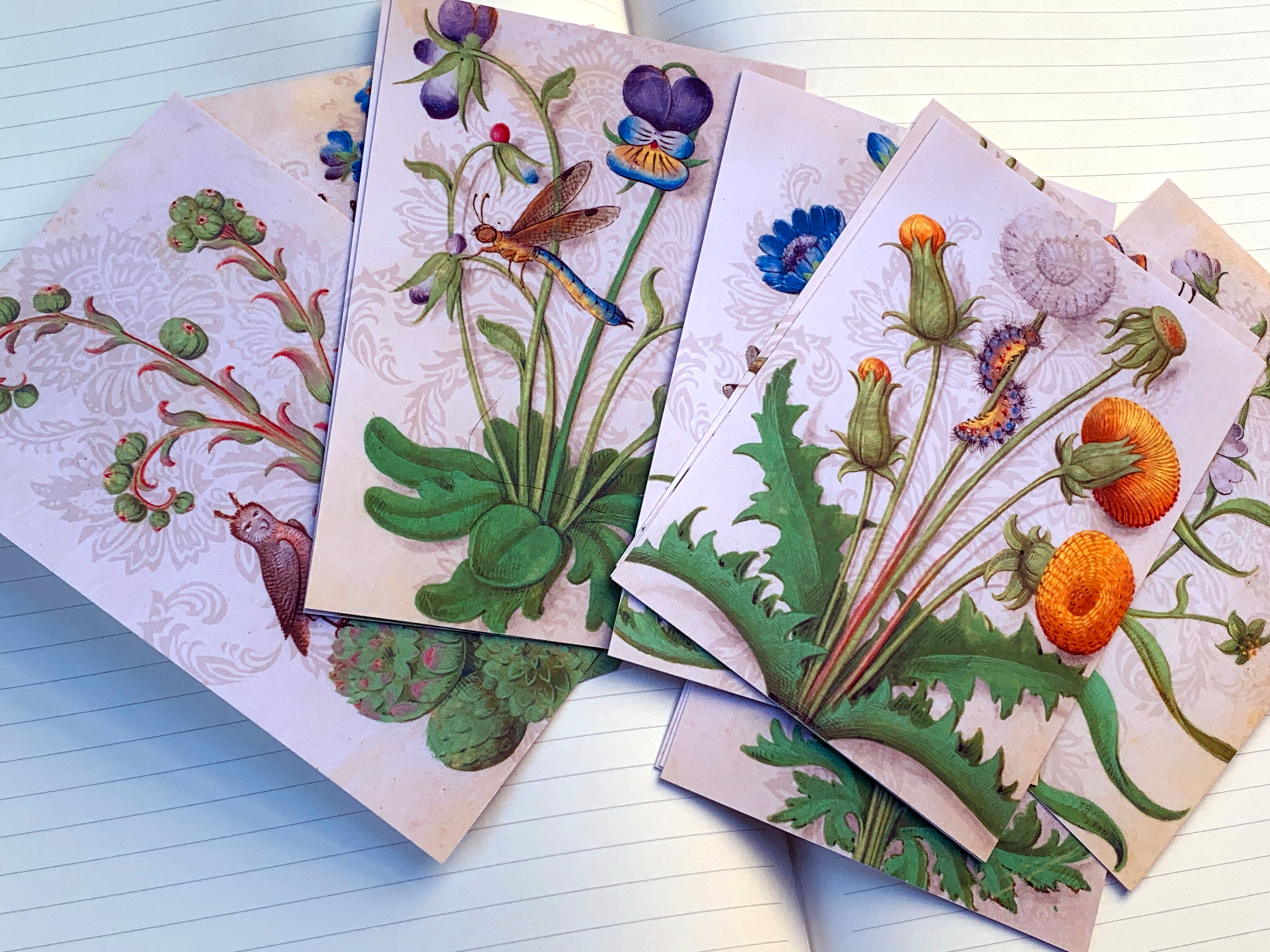 Book of Flower Studies, Everyday Notecards/Postcards for Literature and Garden Lovers, 12 Designs, 12 Cards