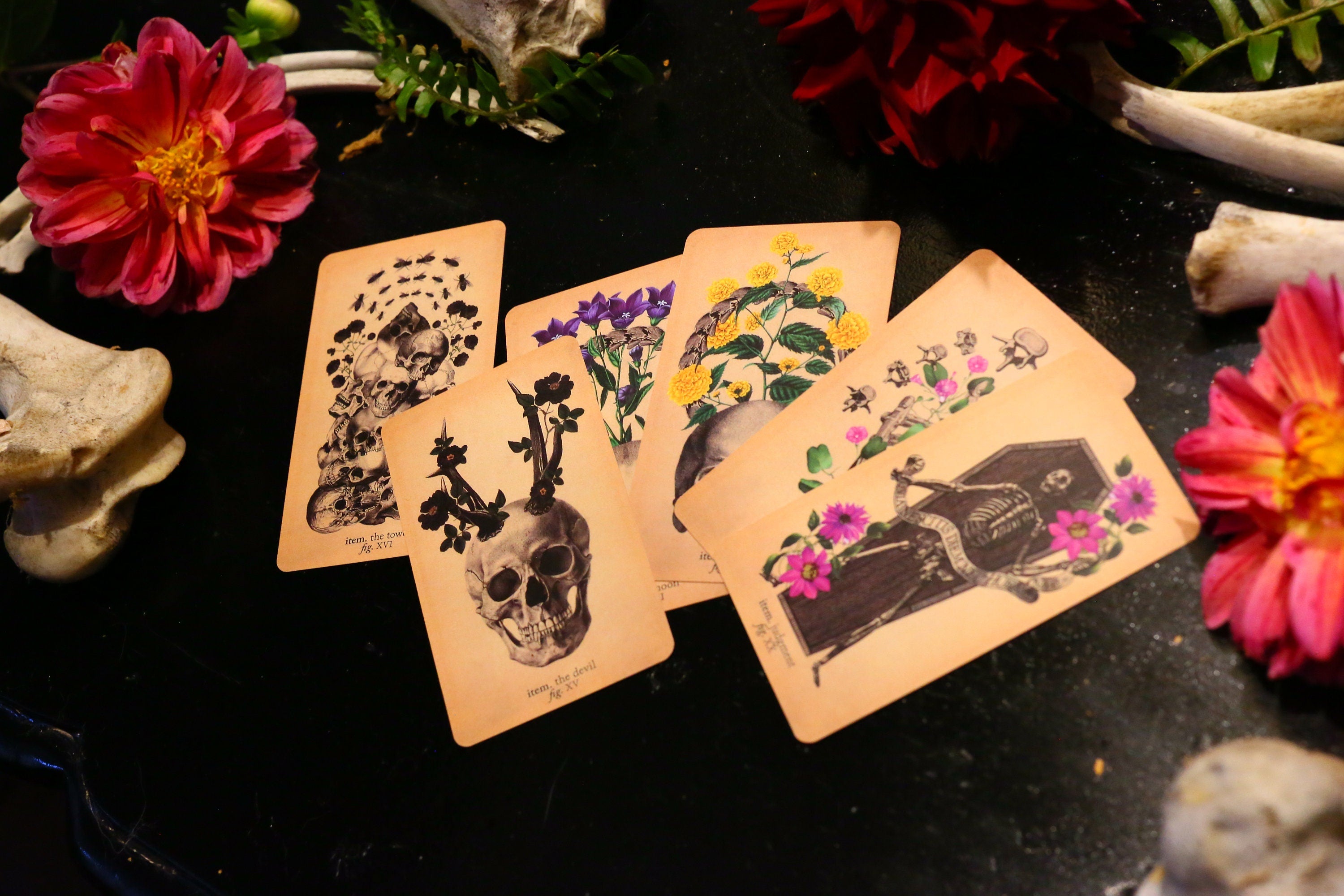 Antique Anatomy Tarot, Oddities and Curiosities Await, 78 Card Symbolic Divination Tarot Set