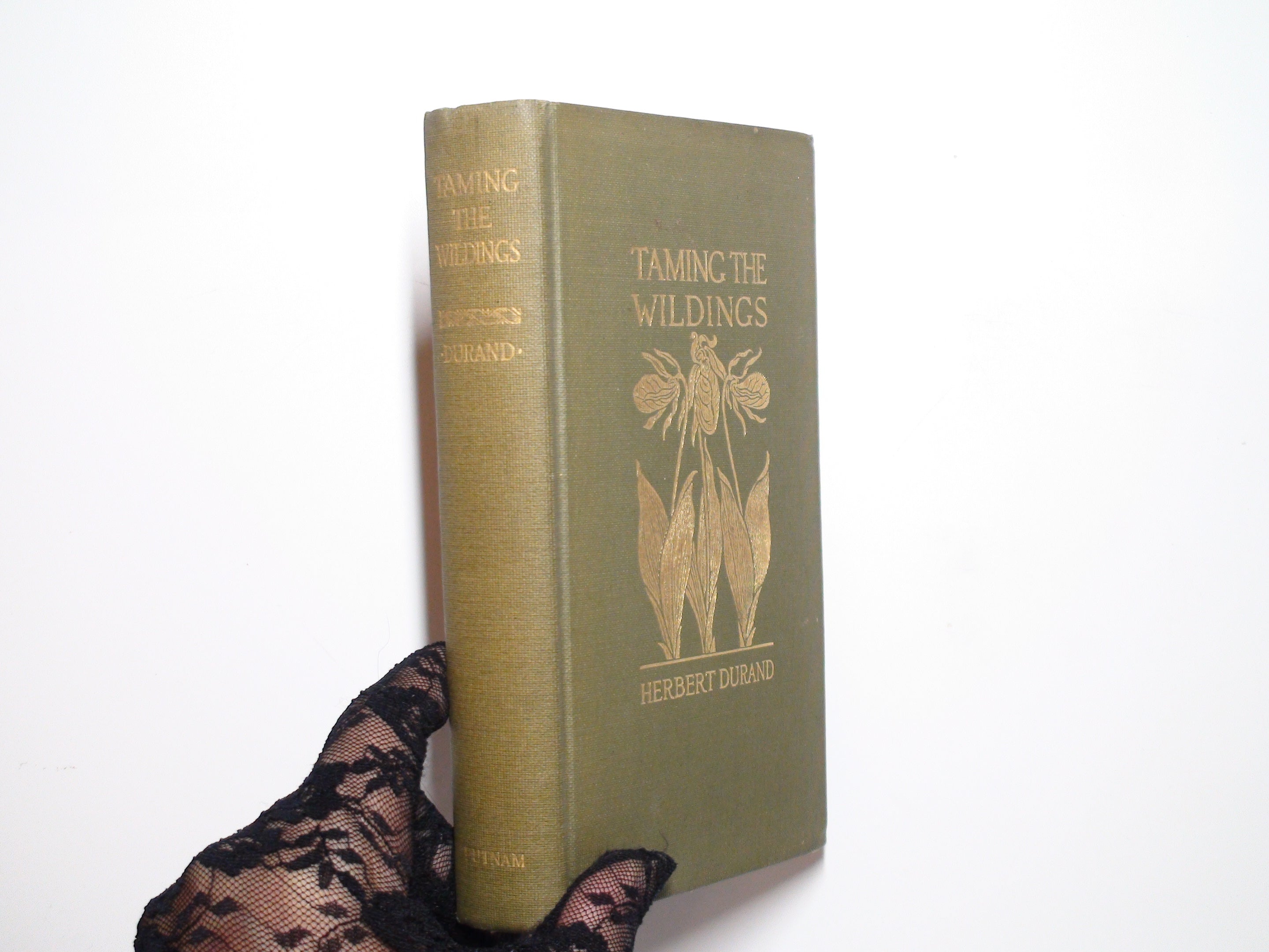 Taming the Wildings, by Herbert Durand, Illustrated, 1st Ed, 1923