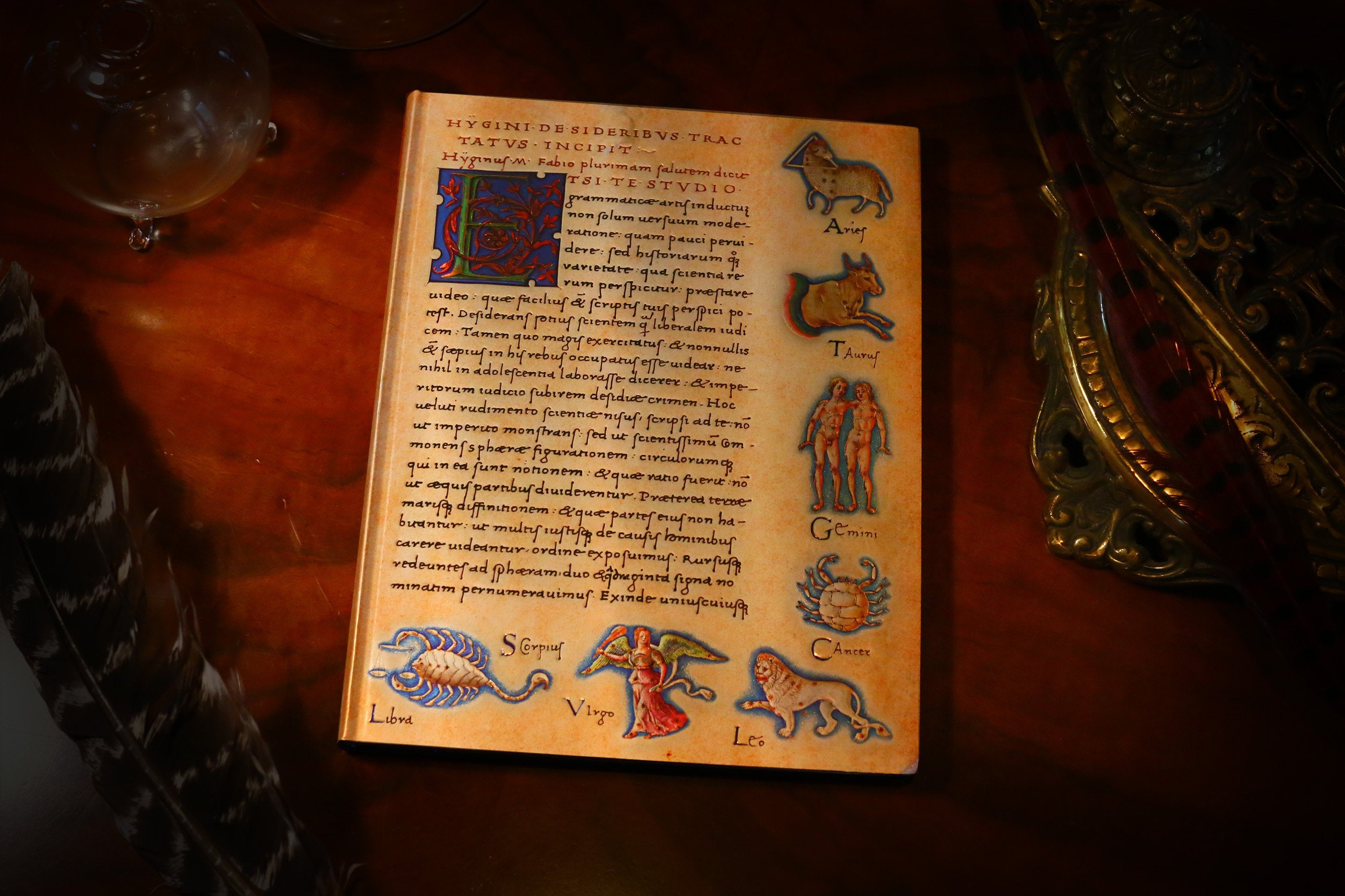 De Sideribus Tractatus, Zodiac, Astronomica, Flexi Softbound Journal with Gilt Accents, Lined, Paperblanks, 9in x 7in