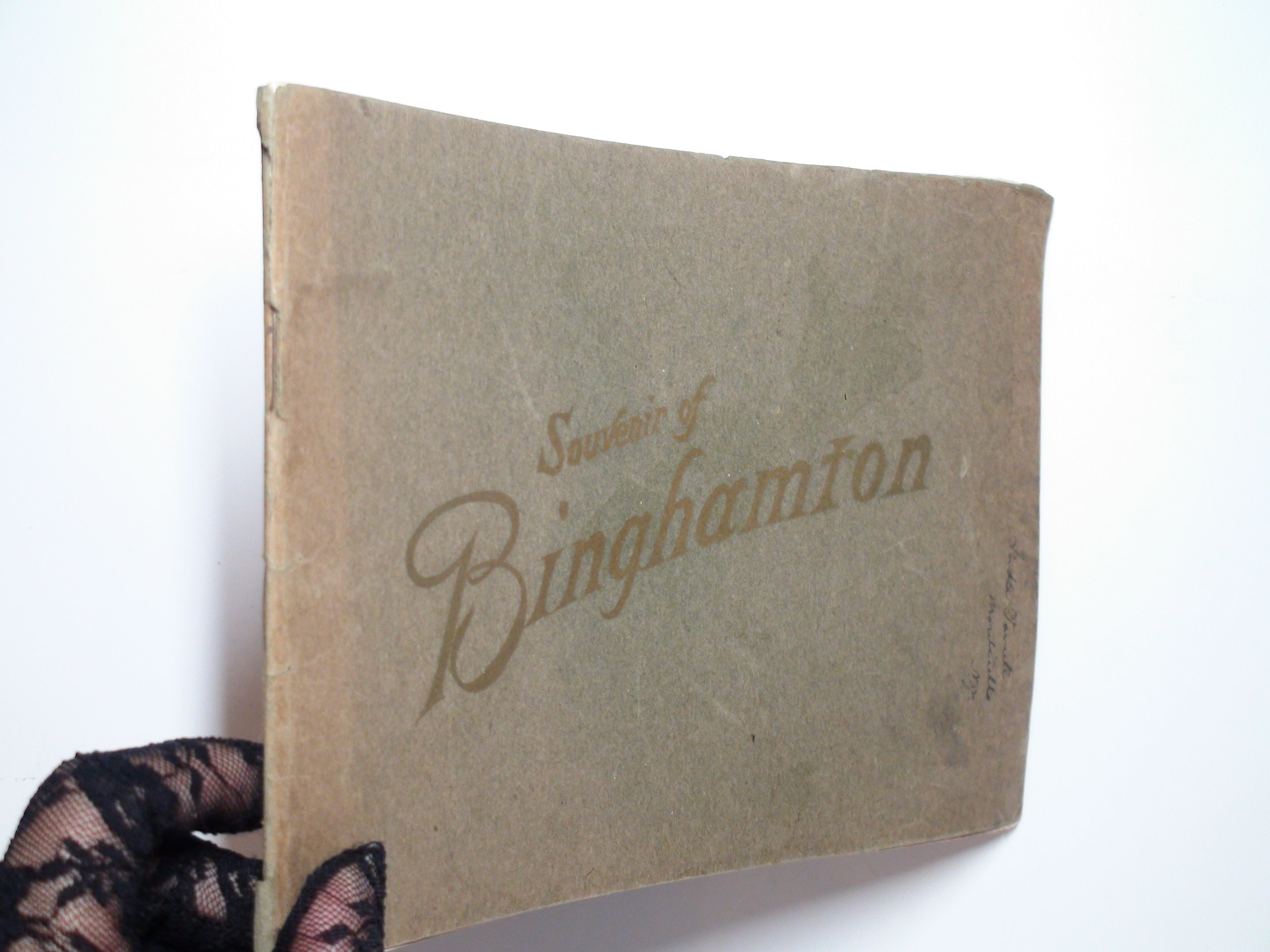 Souvenir of Binghamton, NY, A City of Homes, Published by CS Woolworth