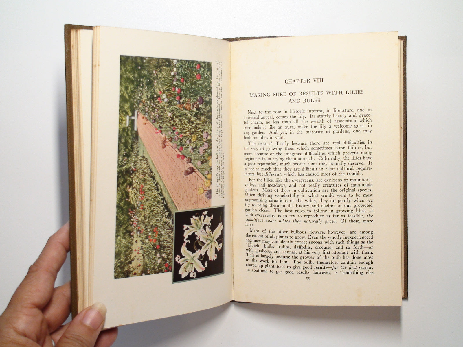 Gardening with Peat Moss, by F. F. Rockwell, Illustrated, 1st Ed, 1928