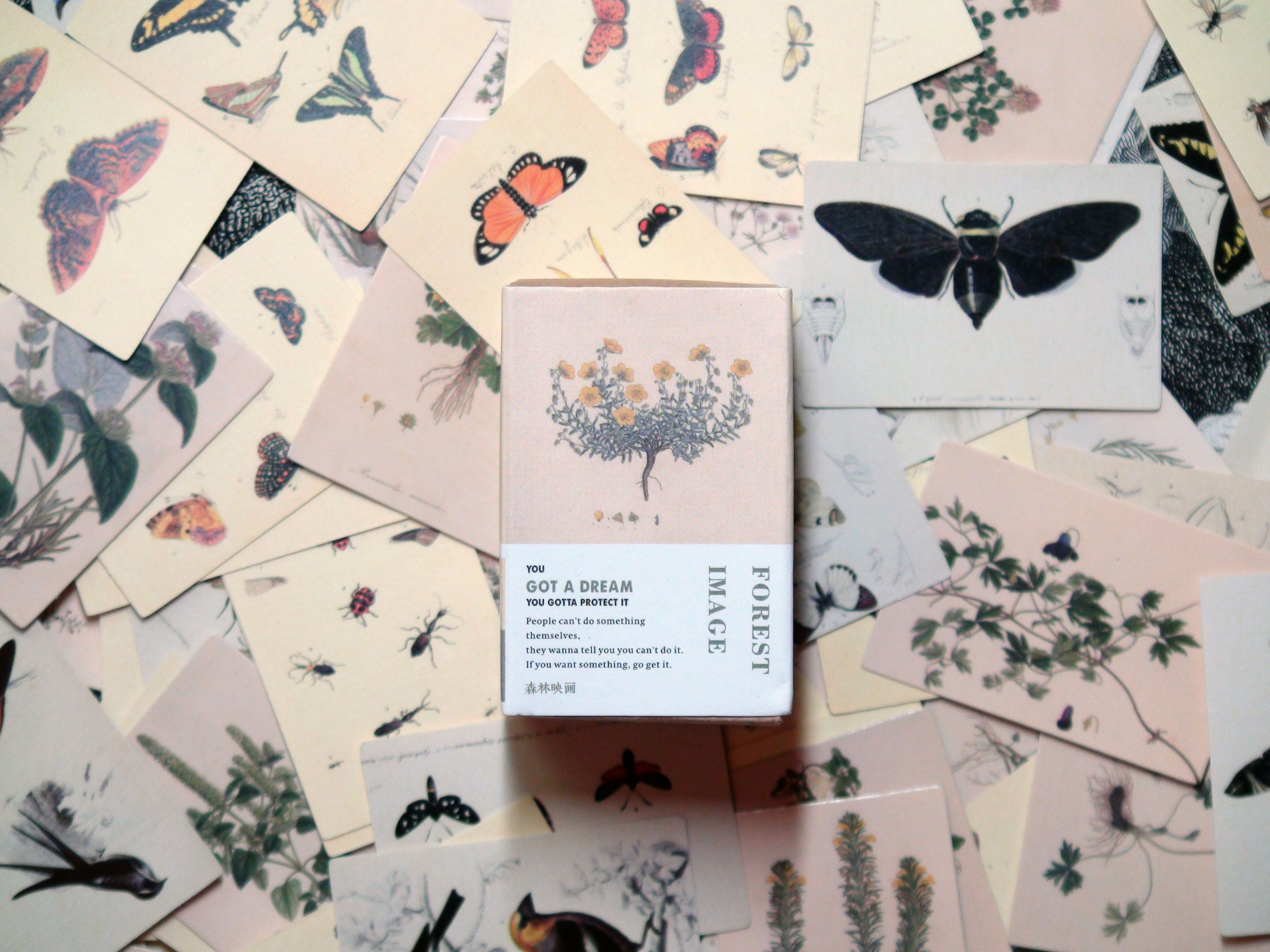Forest Image, 100 Double-Sided Mini Cards, Ideal for Scrapbooking Projects, 1.25in x 2in