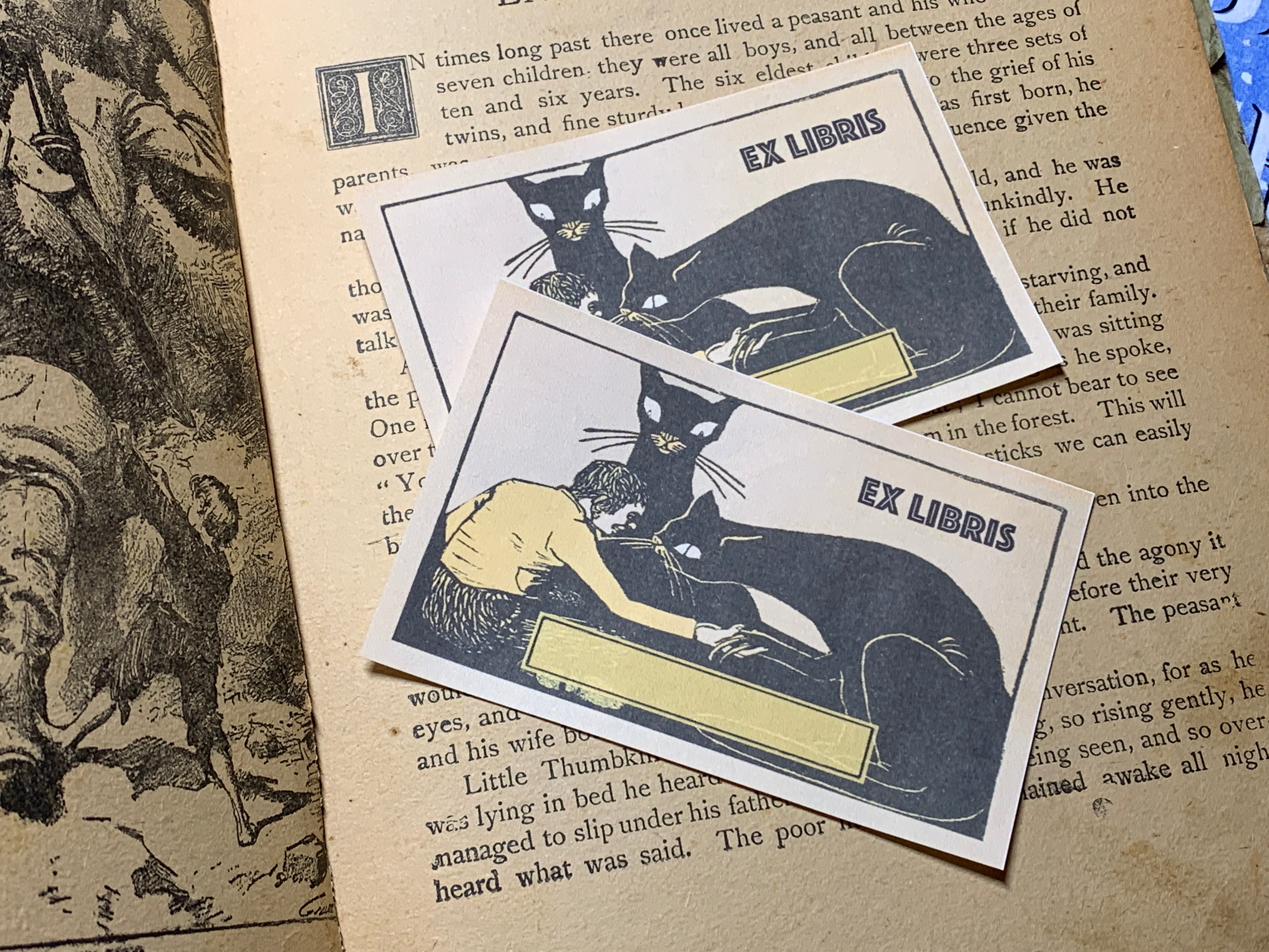 Cat Pact, Personalized Feline Ex-Libris Bookplates, Crafted on Traditional Gummed Paper, 4in x 2.5in, Set of 30