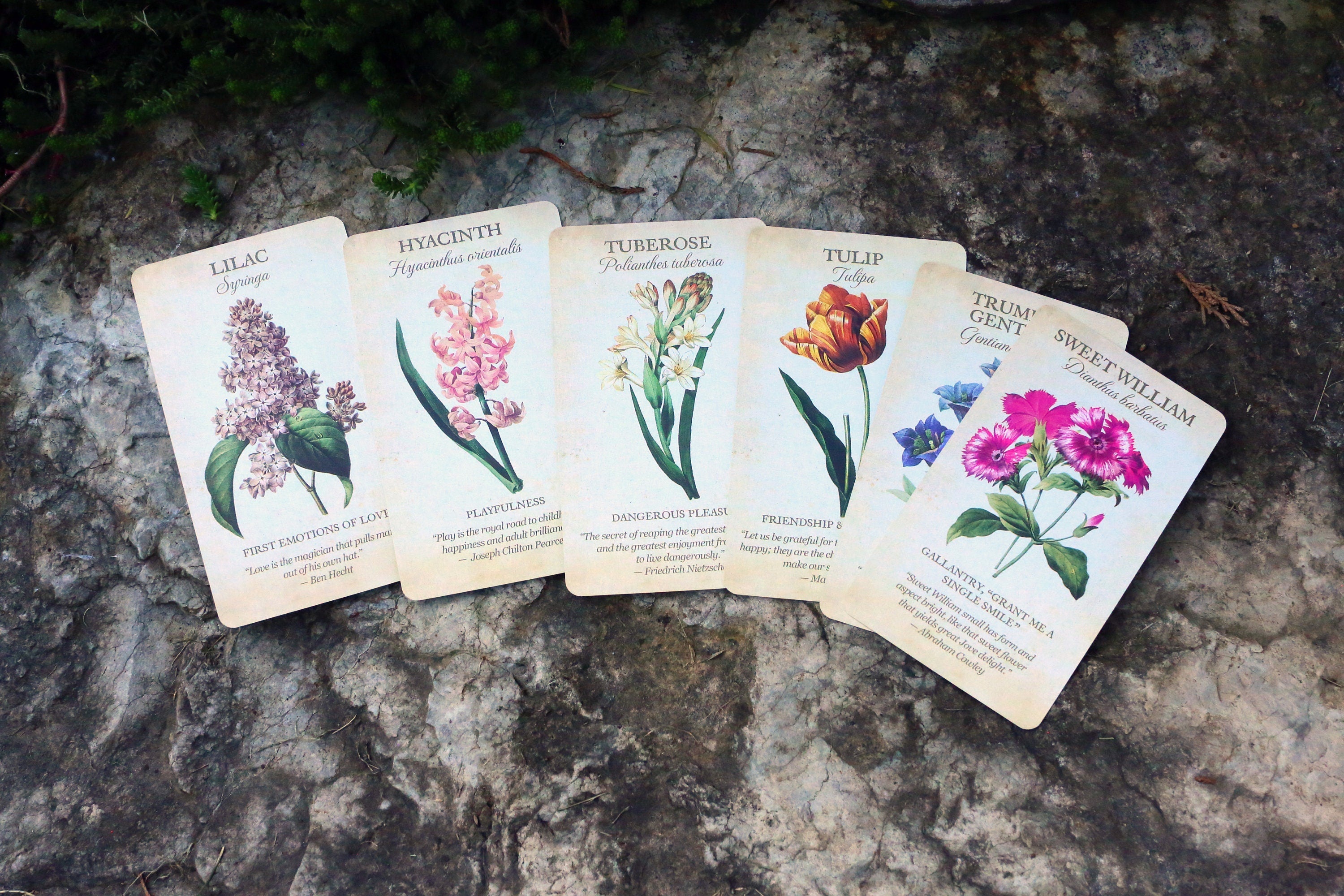 Botanical Inspirations, 44 Card Divination Deck, Based on the Sacred Language of Flowers, Illustrated by Pierre Joseph Redoute