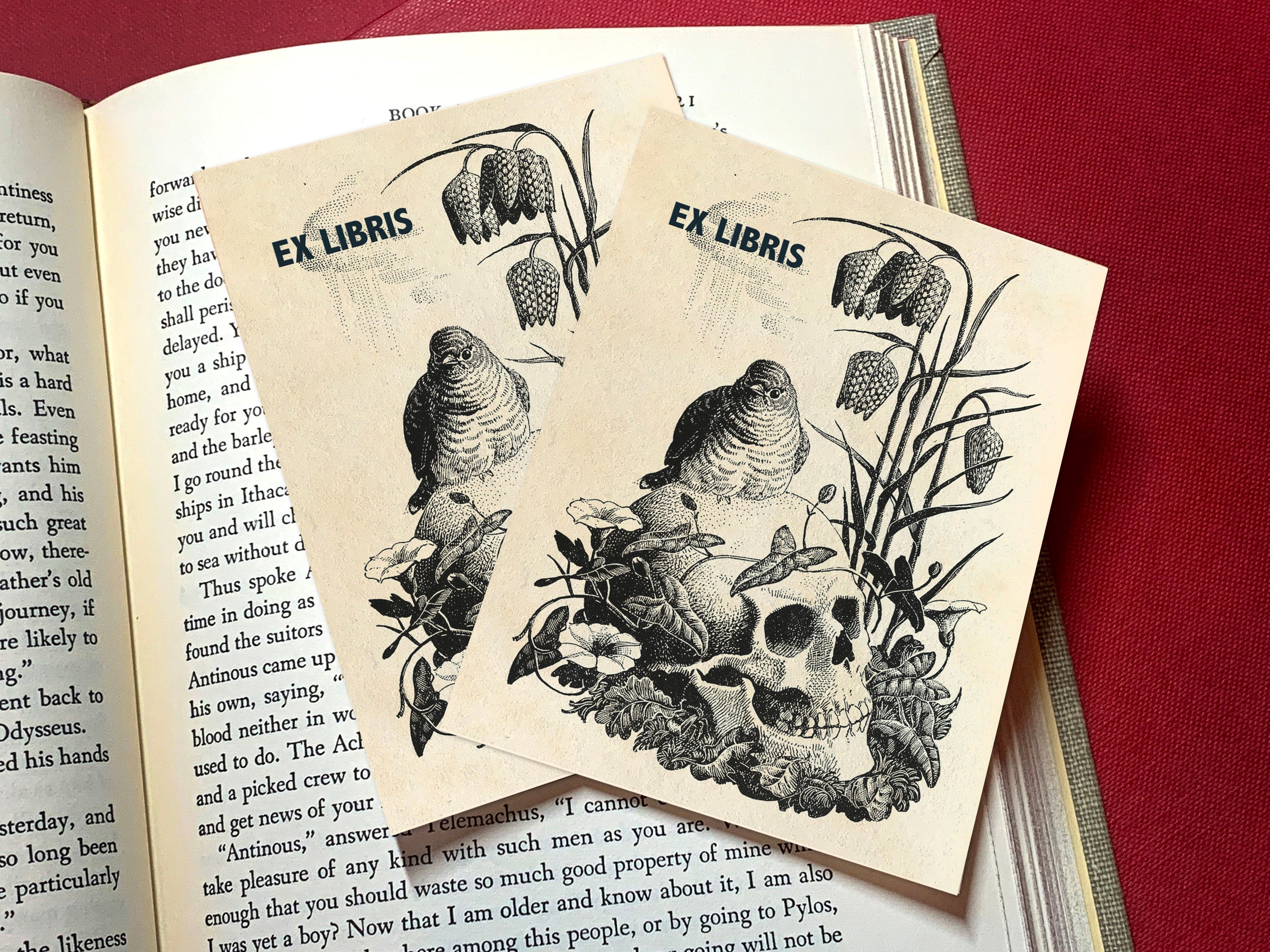 Bird and Skull, Personalized Gothic Ex-Libris Bookplates, Crafted on Traditional Gummed Paper, 3in x 4in, Set of 30