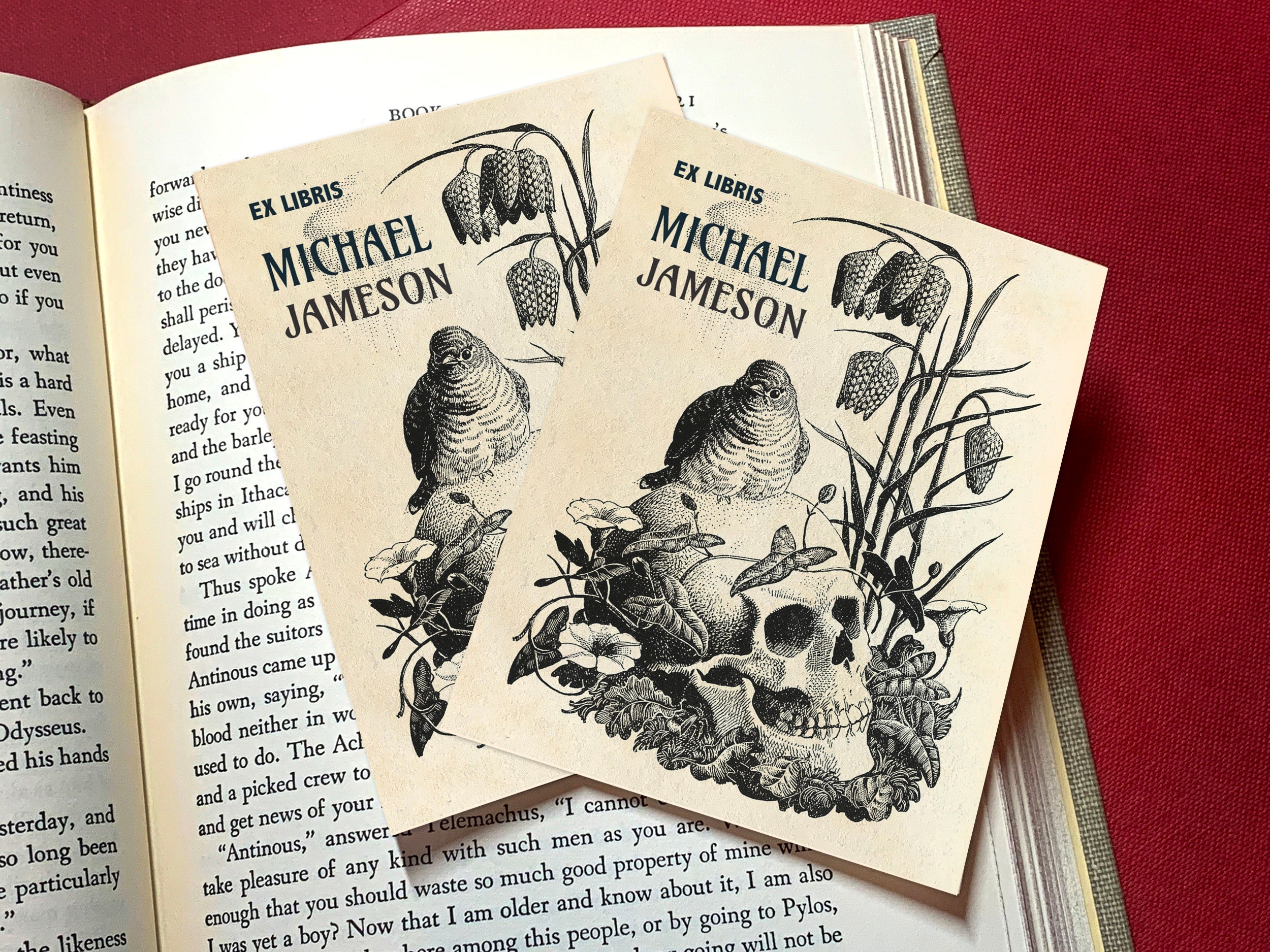 Bird and Skull, Personalized Gothic Ex-Libris Bookplates, Crafted on Traditional Gummed Paper, 3in x 4in, Set of 30