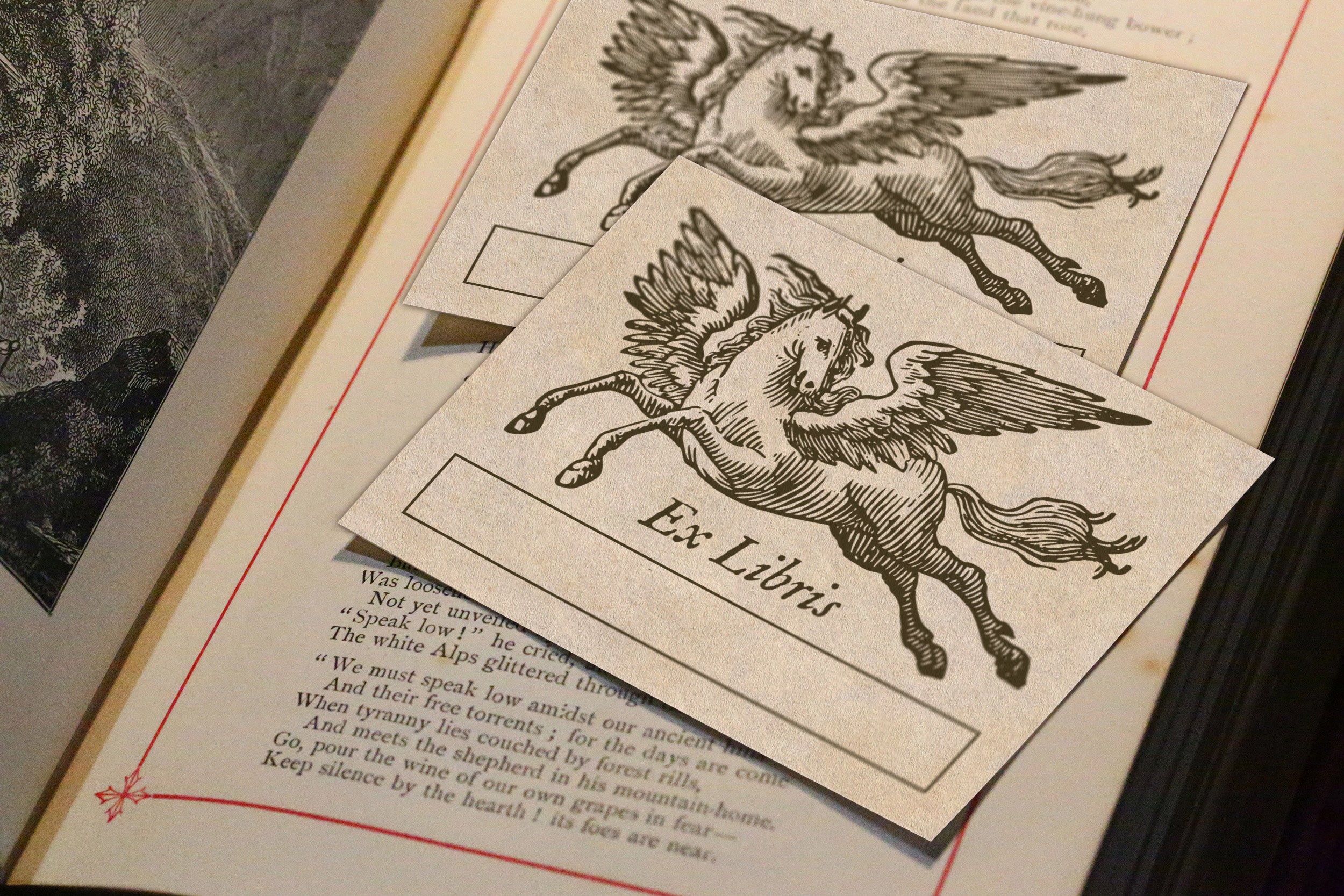 Prancing Pegasus, Personalized Ex-Libris Bookplates, Crafted on Traditional Gummed Paper, 3.25in x 2.5in, Set of 30