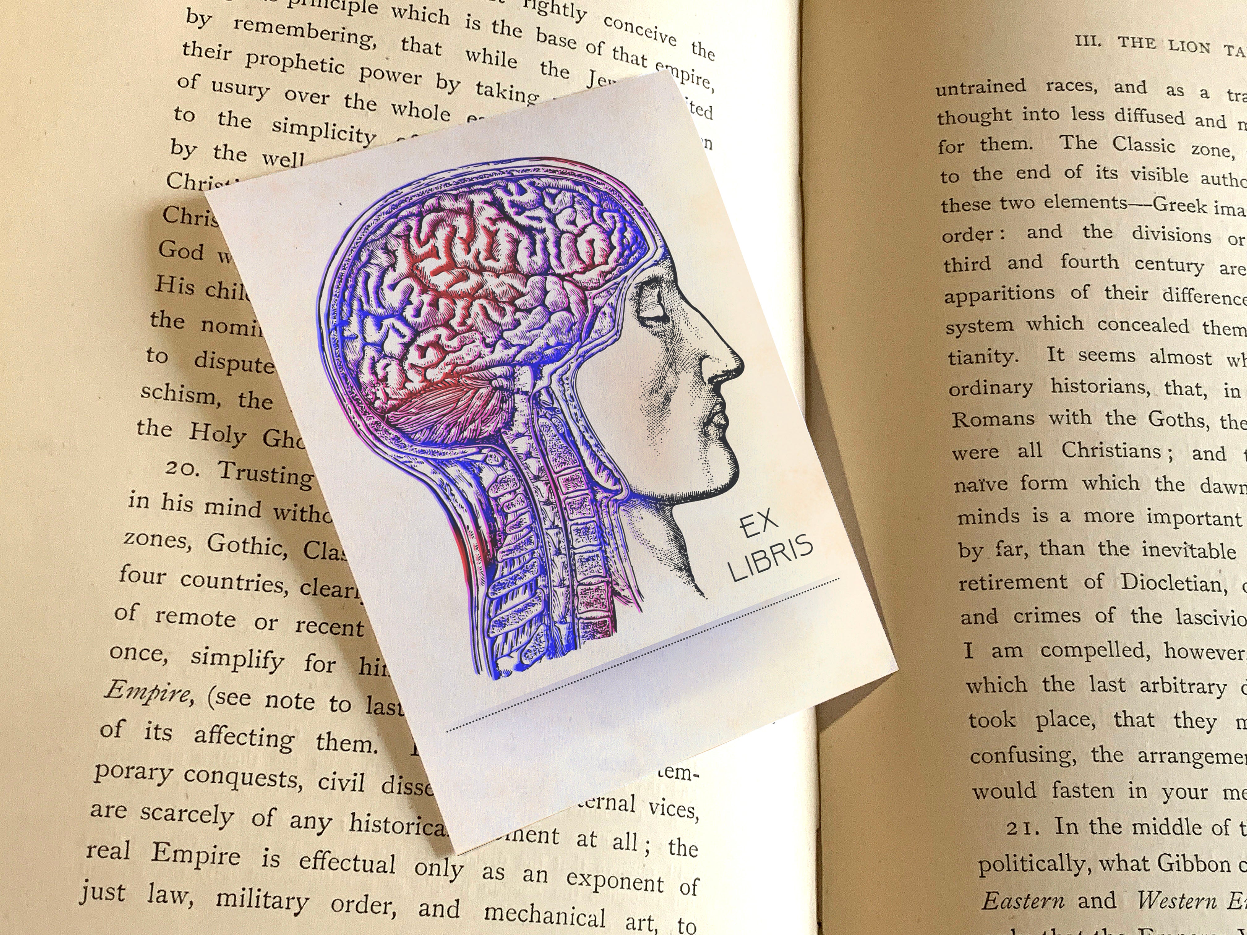 Anatomical Brain, Personalized Ex-Libris Bookplates, Crafted on Traditional Gummed Paper, 3in x 4in, Set of 30