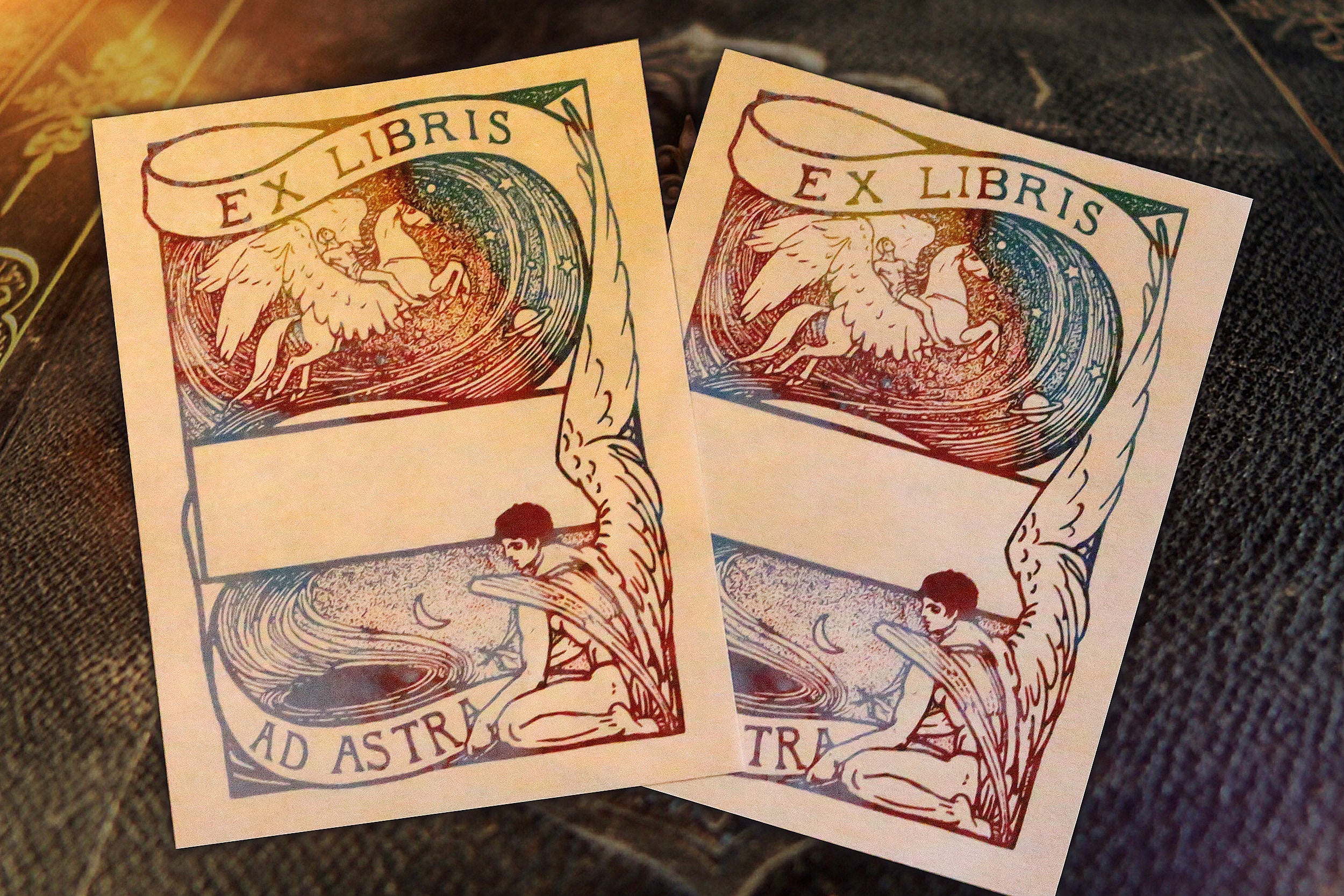 To the Stars! Angel and Pegasus, Personalized Ex-Libris Bookplates, Crafted on Traditional Gummed Paper, 3in x 4in, Set of 30