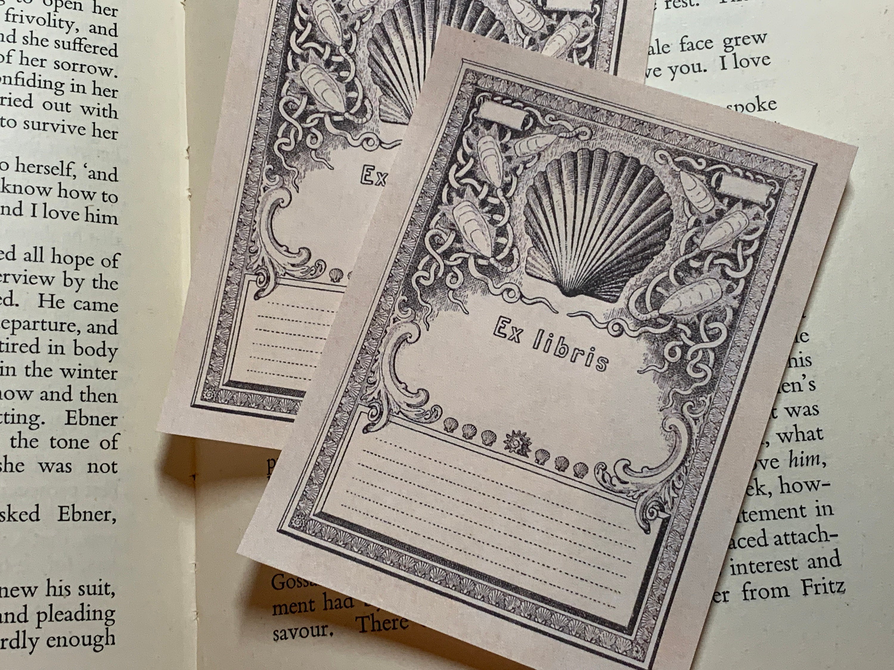 Seashells, Ex-Libris Bookplates, Crafted on Traditional Gummed Paper, 3in x 4in, Set of 30