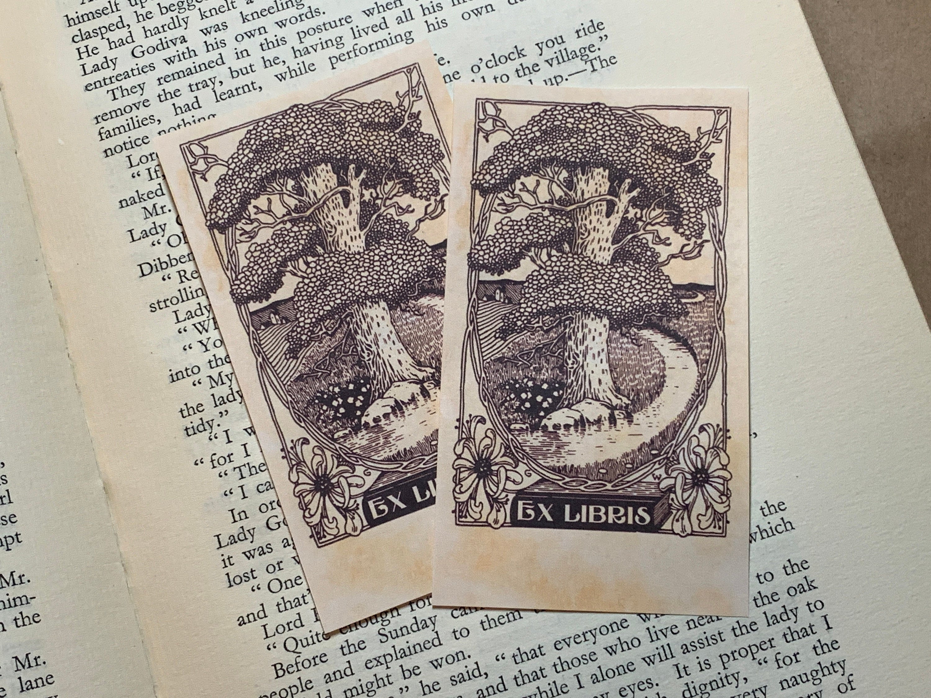 Tranquil Brook, Personalized Ex-Libris Bookplates, Crafted on Traditional Gummed Paper, 4in x 2.25in, Set of 30