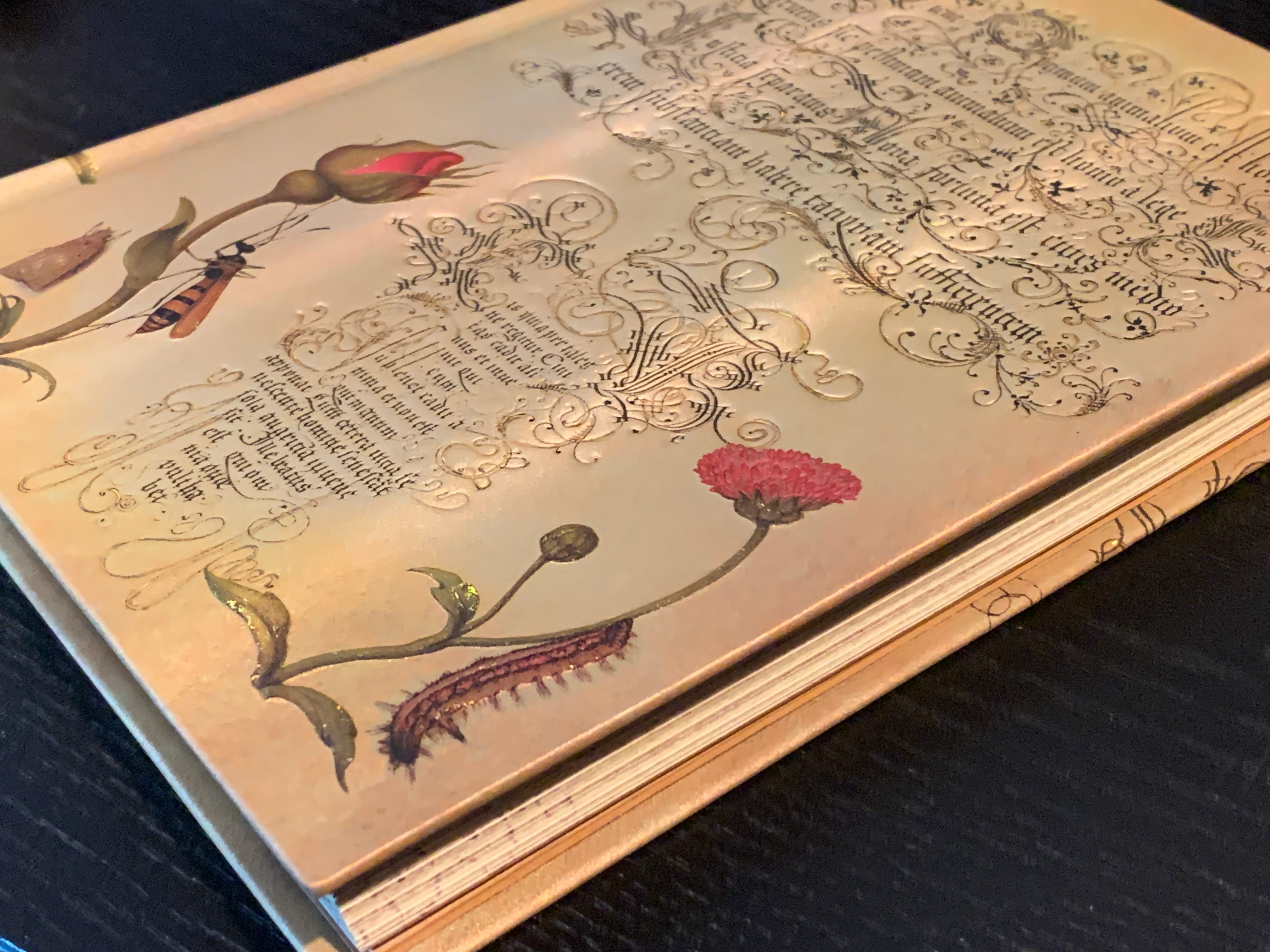 Flemish Rose, Mira Botanica, Journal with Gilt Accents, Lined, Paperblanks, 7in x 5in