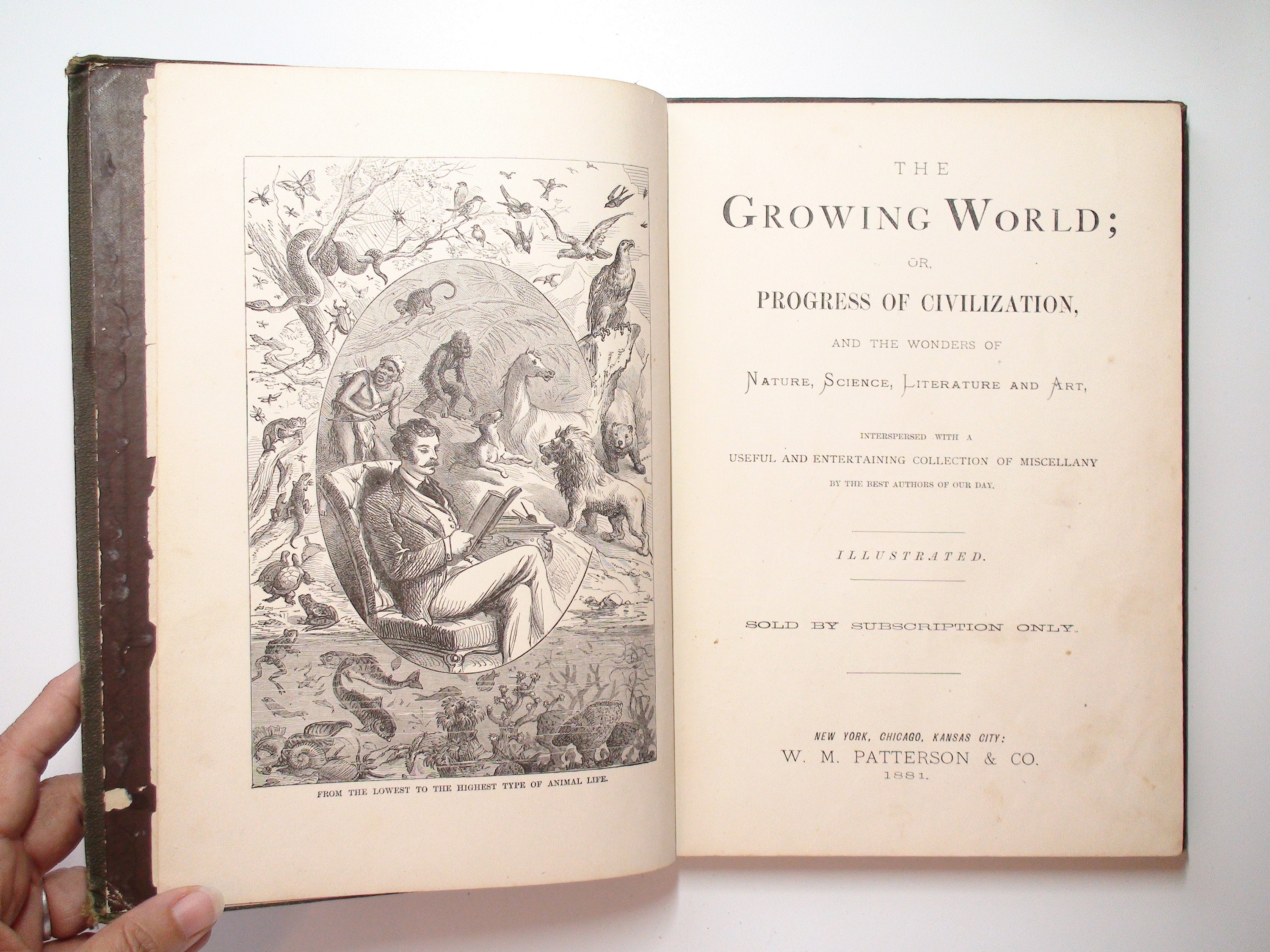 The Growing World or Progress Of Civilization, Illustrated Children's Magazine, Scarce, 1881