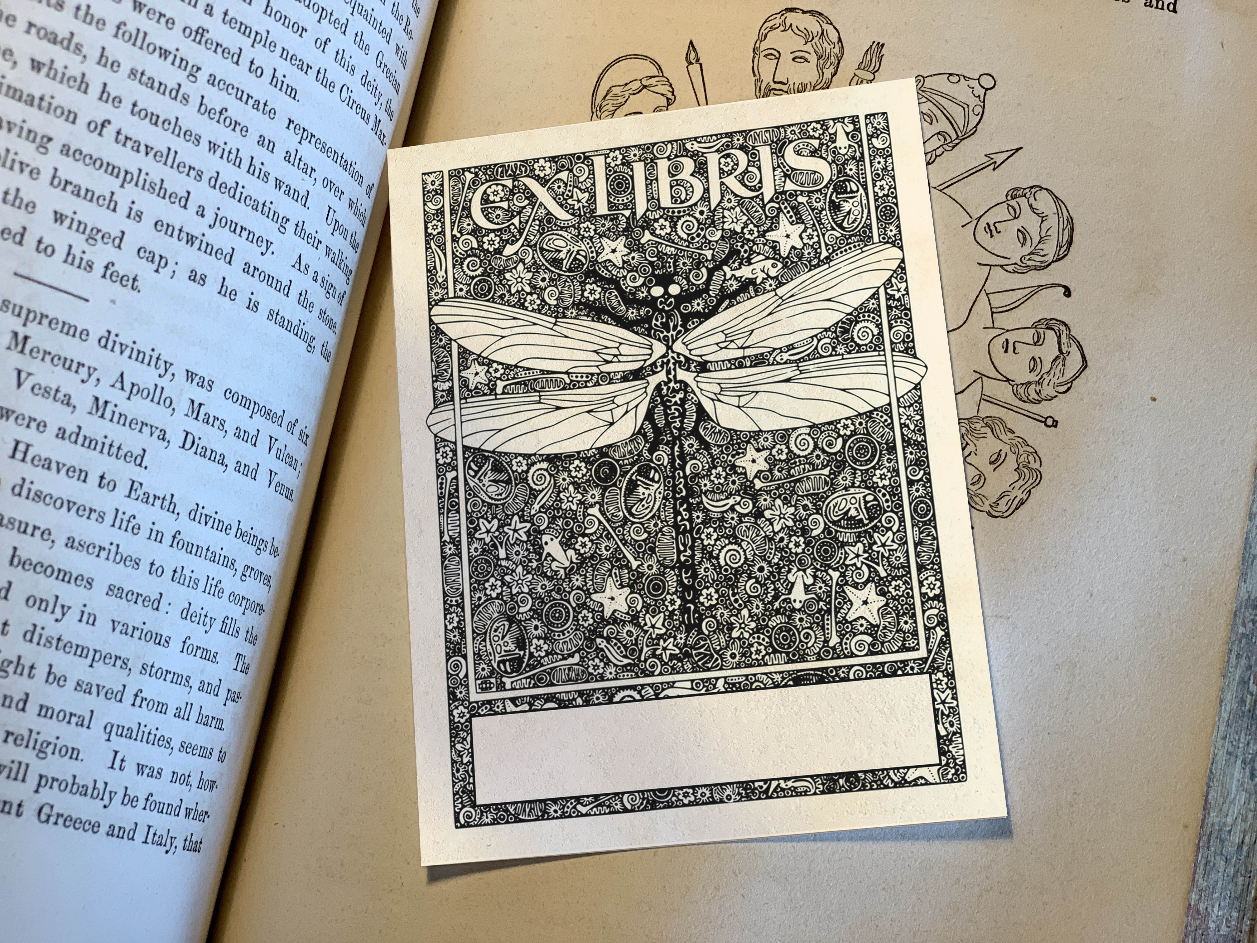 Dragonfly, Personalized Ex-Libris Bookplates, Crafted on Traditional Gummed Paper, 3in x 4in, Set of 30
