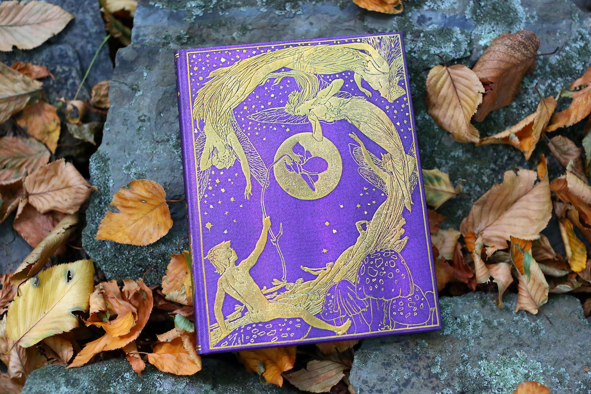 Violet Fairy, Lang's Fairy Book Limited Edition, Journal with Gilt Accents, Lined, Paperblanks, 7in x 5in