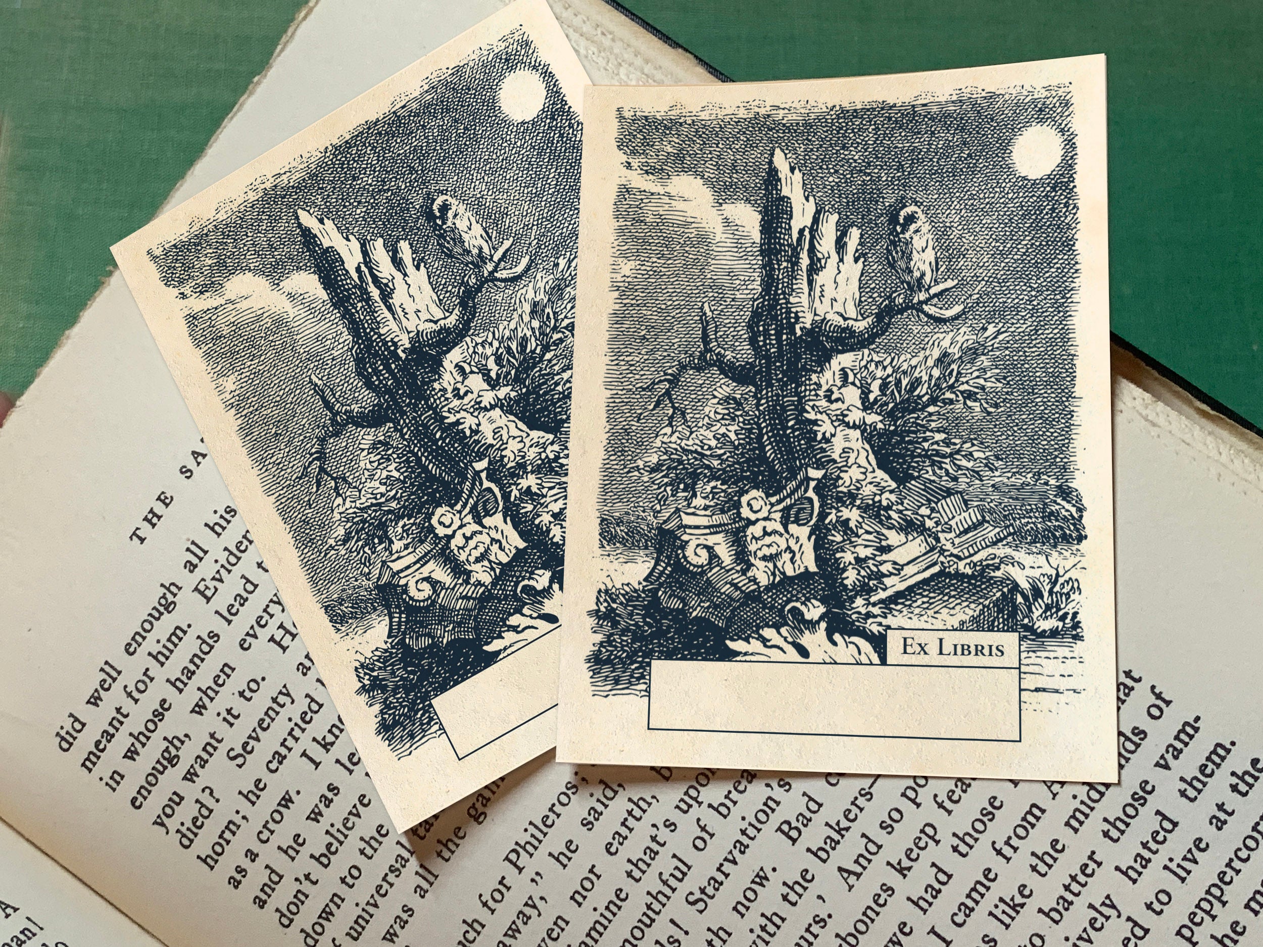Moonlit Owl, Personalized Ex-Libris Bookplates, Crafted on Traditional Gummed Paper, 3in x 4in, Set of 30