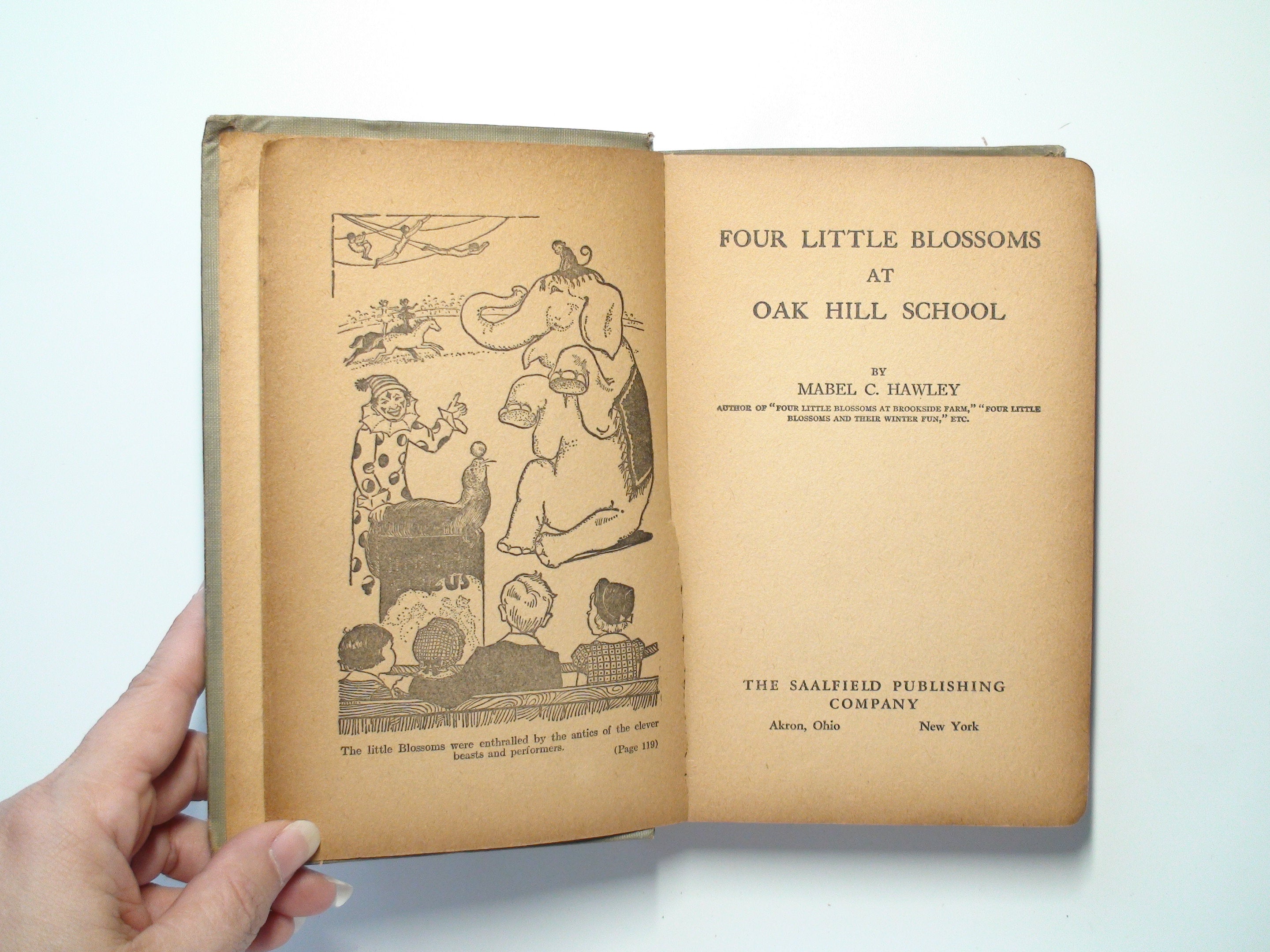 Four Little Blossoms, Mabel C. Hawley, Vintage Children's Book, 1st Ed, 1920