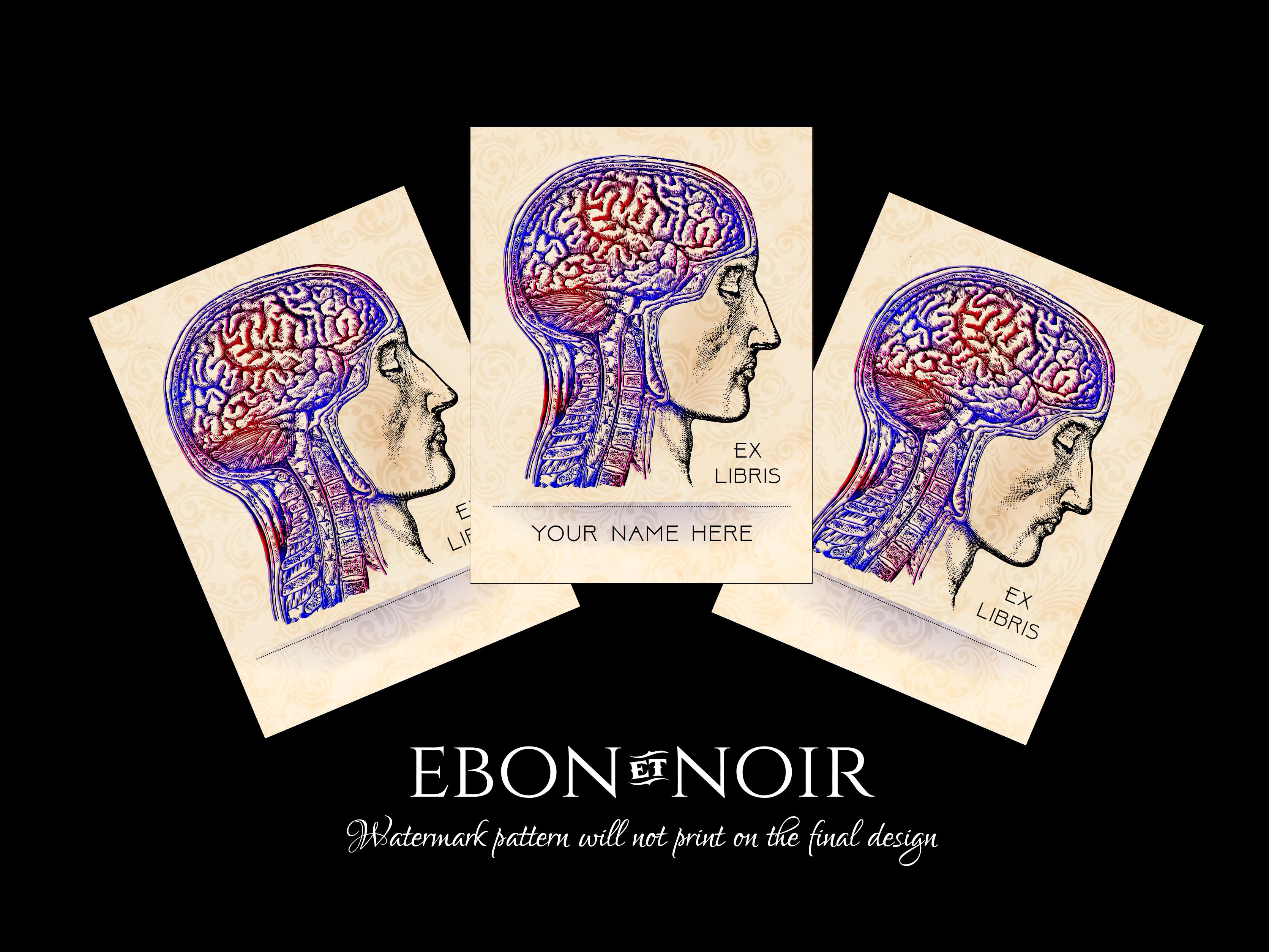 Anatomical Brain, Personalized Ex-Libris Bookplates, Crafted on Traditional Gummed Paper, 3in x 4in, Set of 30