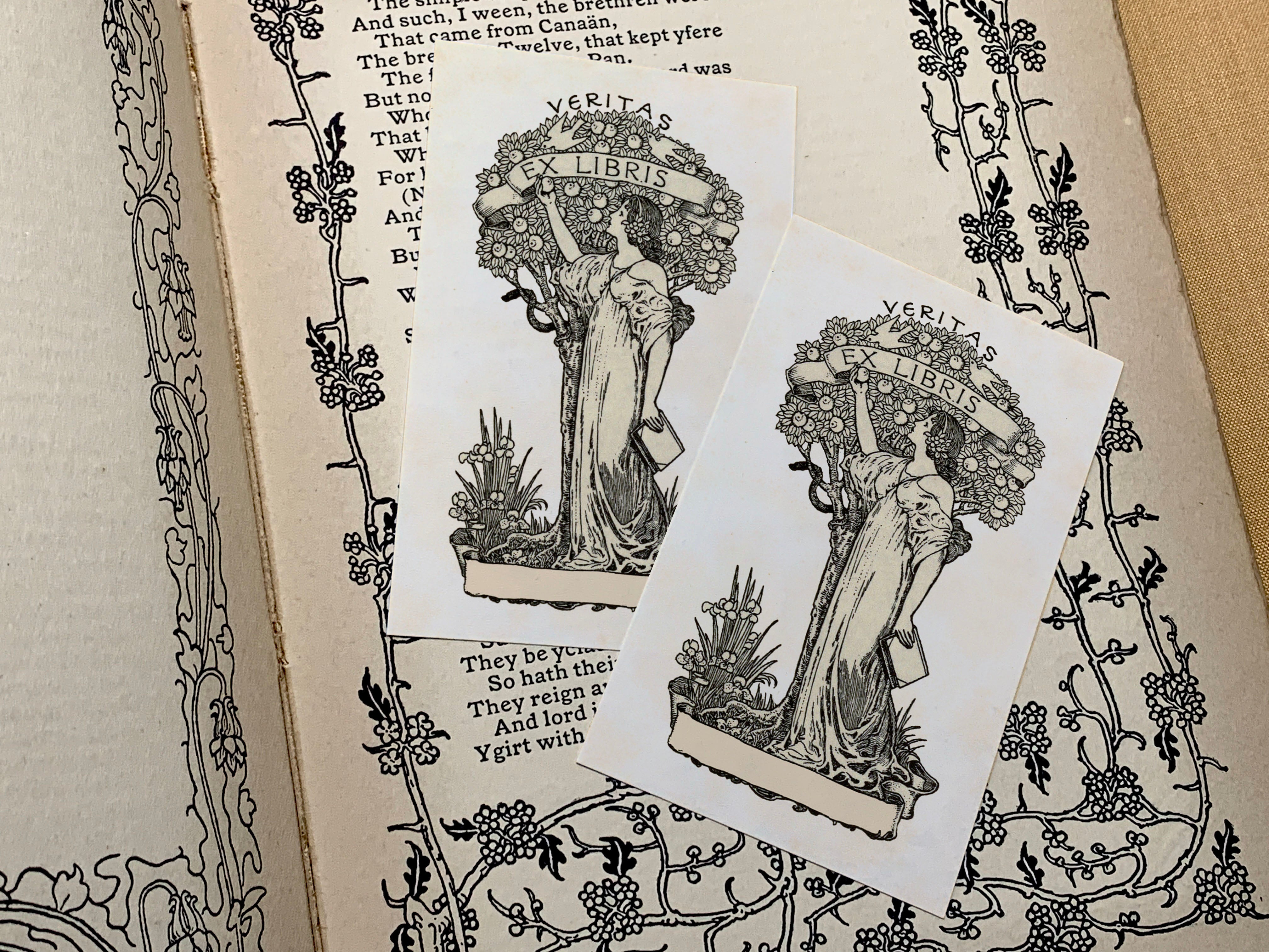 Veritas, Eve's Temptation, Personalized Ex-Libris Bookplates, Crafted on Traditional Gummed Paper, 2.5in x 4in, Set of 30