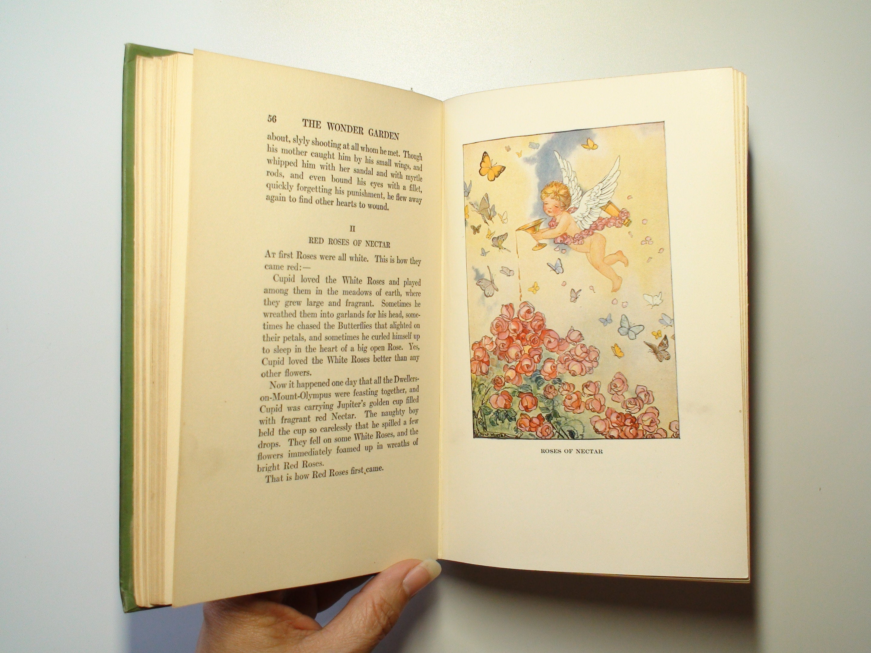 The Wonder Garden, Frances Jenkins Olcott, Illustrated, 1st Ed, 1919
