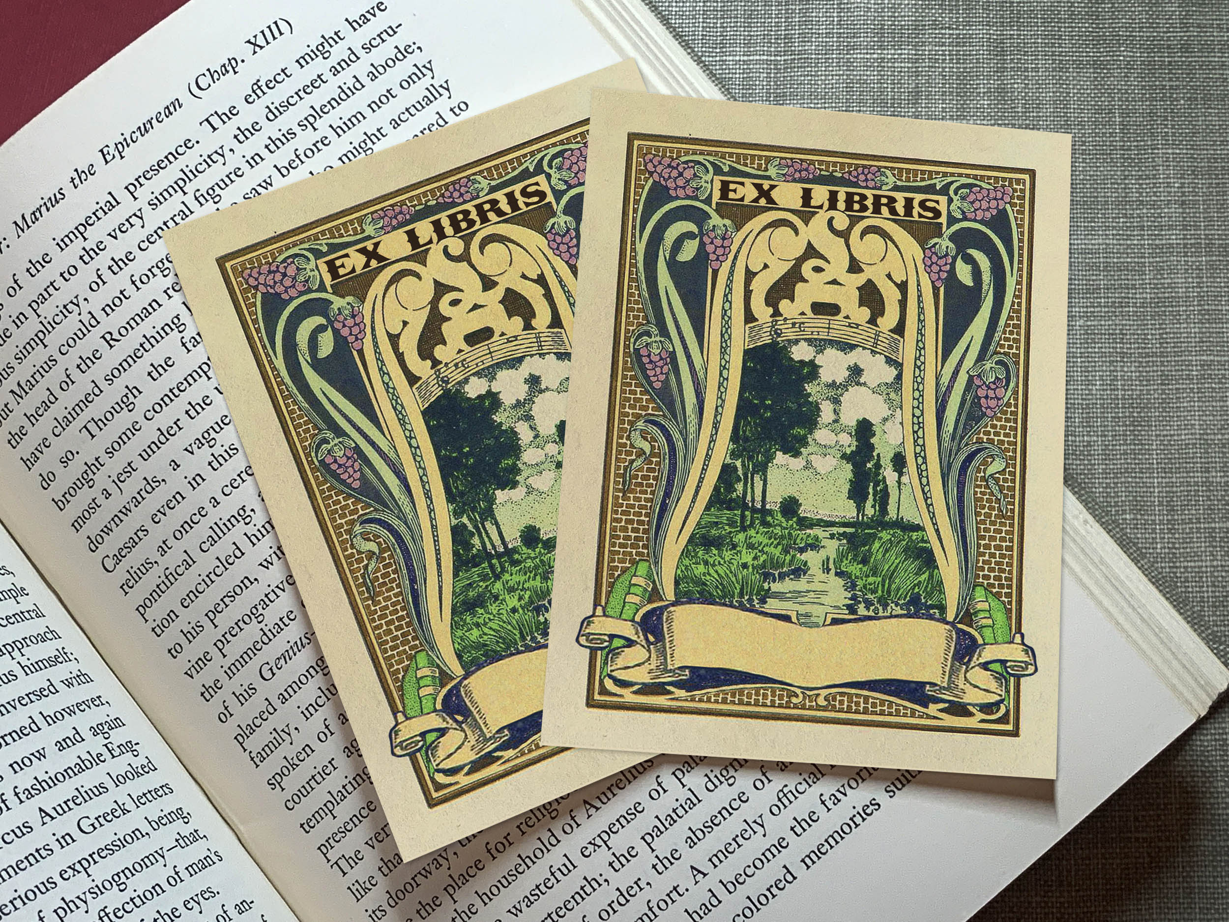 Lake View, Personalized Ex-Libris Bookplates, Crafted on Traditional Gummed Paper, 3in x 4in, Set of 30