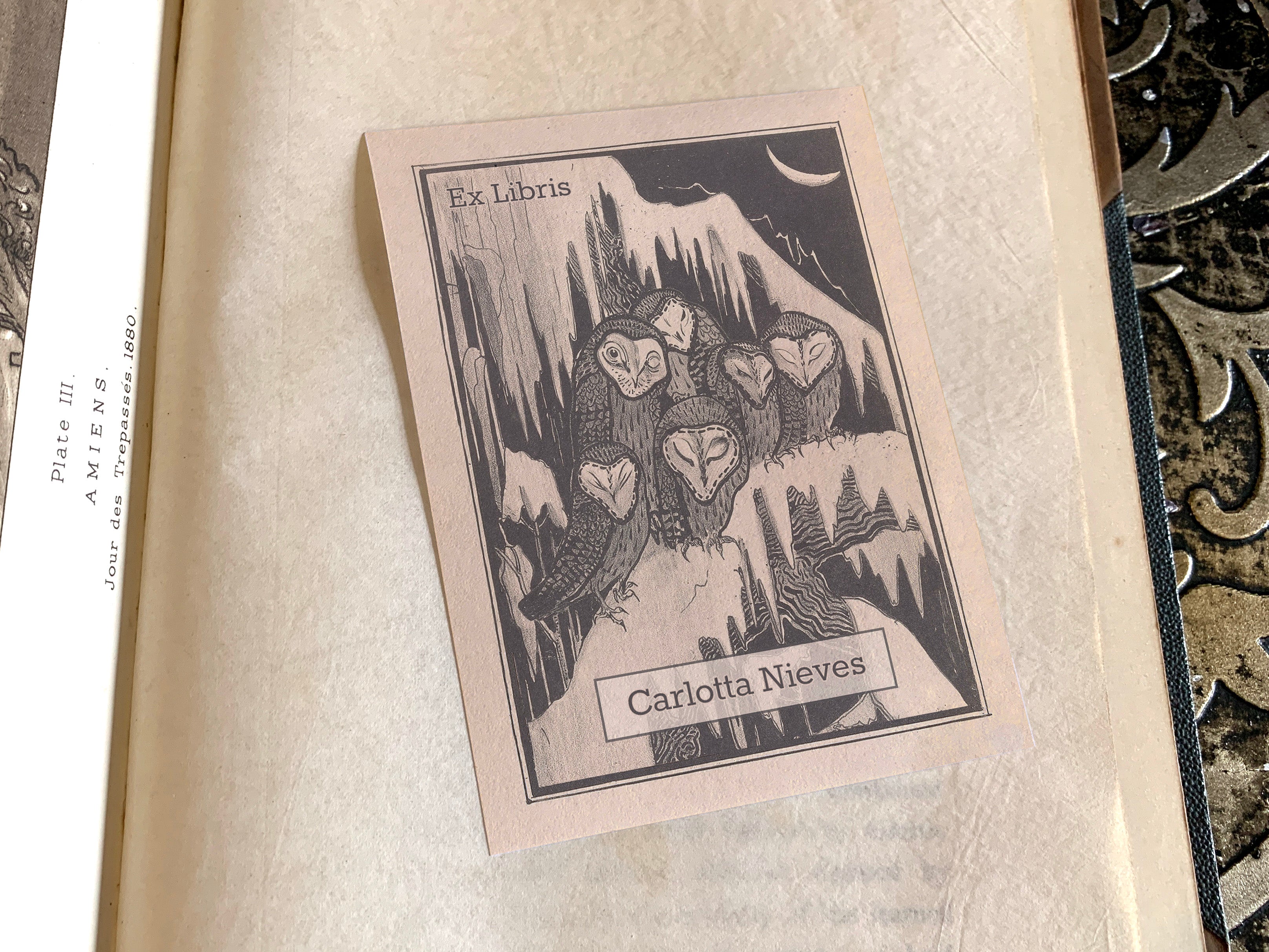 Barn Owls, Personalized Ex-Libris Bookplates, Crafted on Traditional Gummed Paper, 3in x 4in, Set of 30