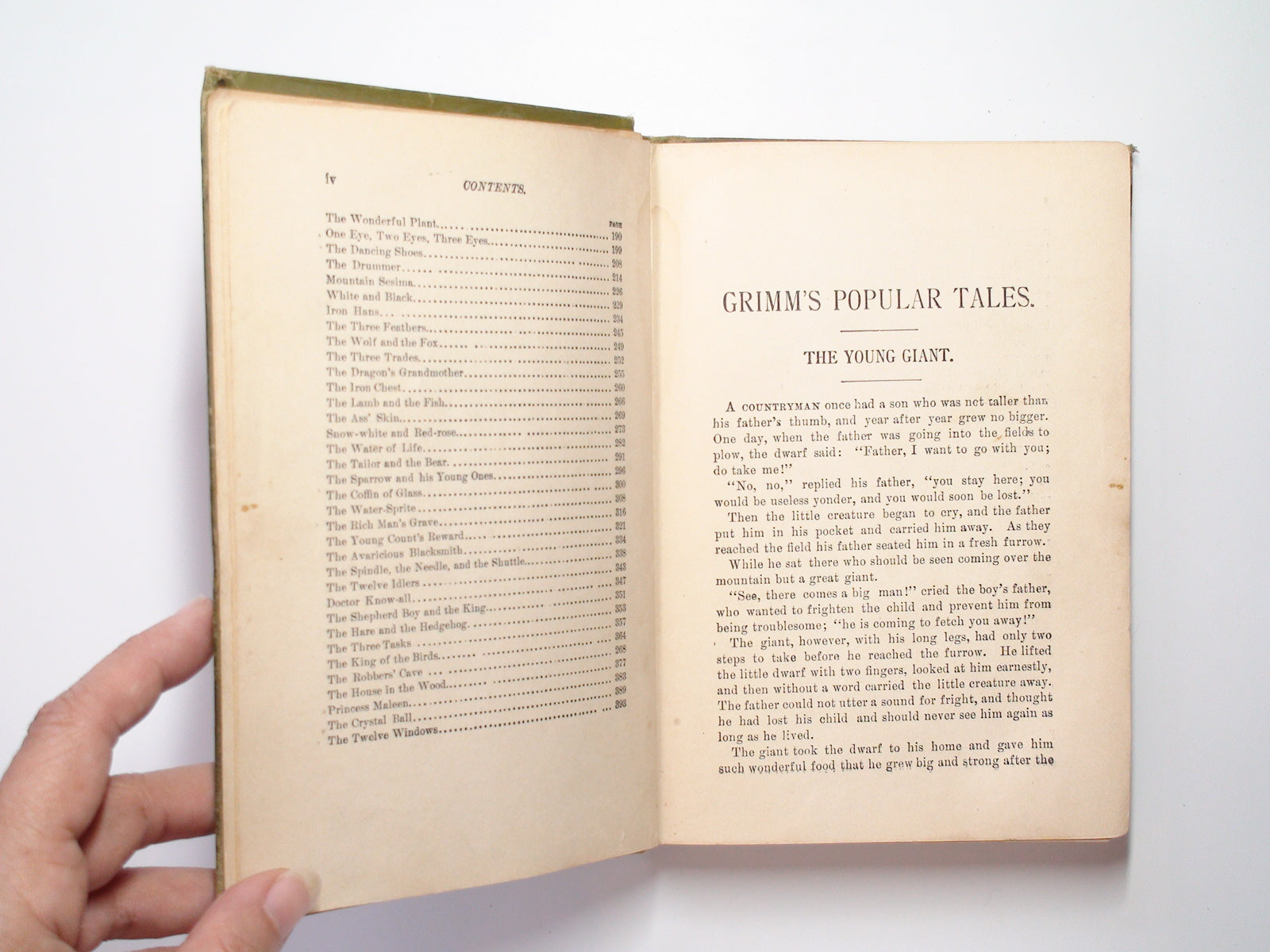 Popular Fairy Tales by the Brothers Grimm, Illustrated, Rare, 1895