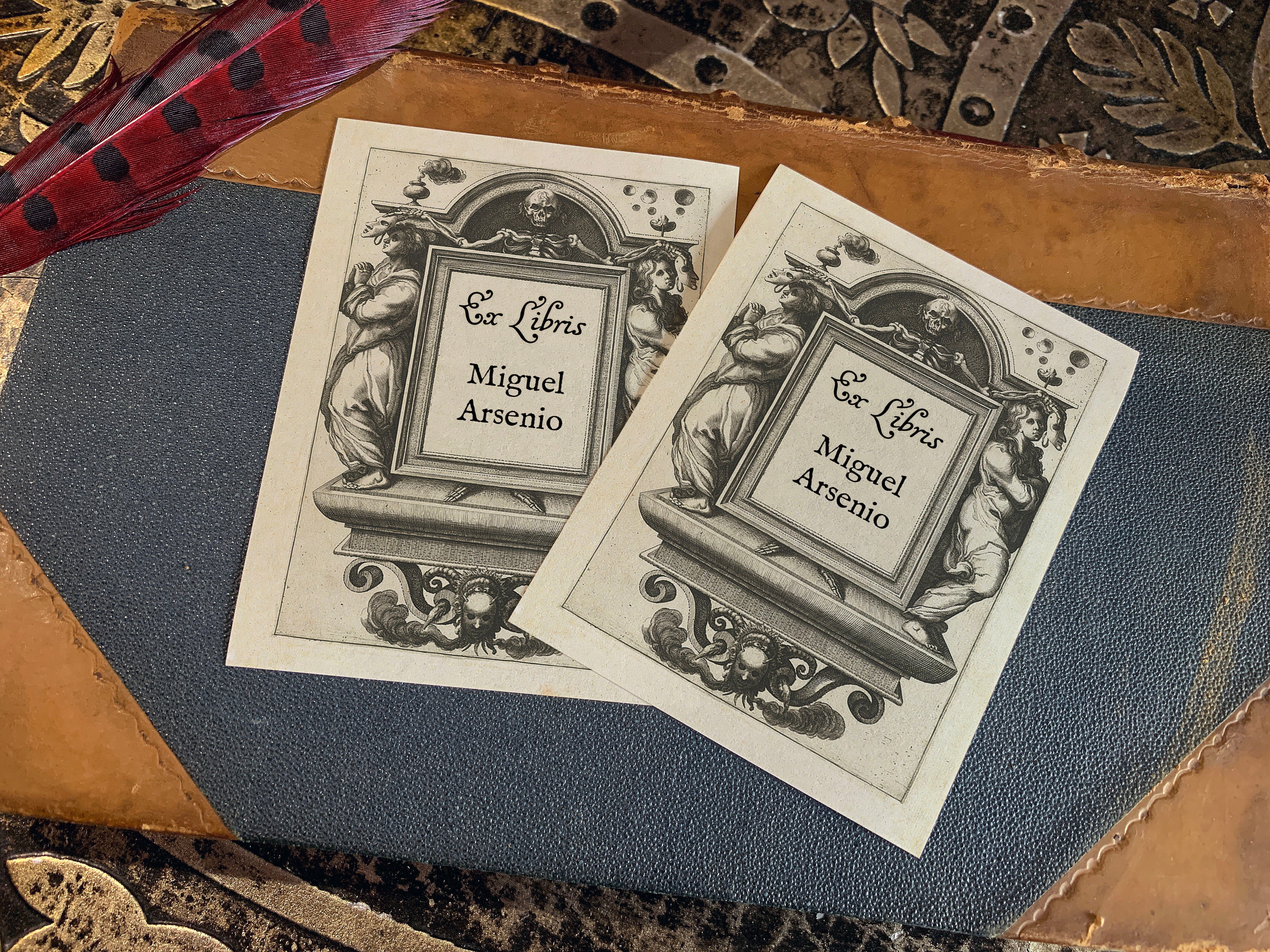 Deathly Unmasking, Gothic Personalized Gothic Ex-Libris Bookplates, Crafted on Traditional Gummed Paper, 3in x 4in, Set of 30