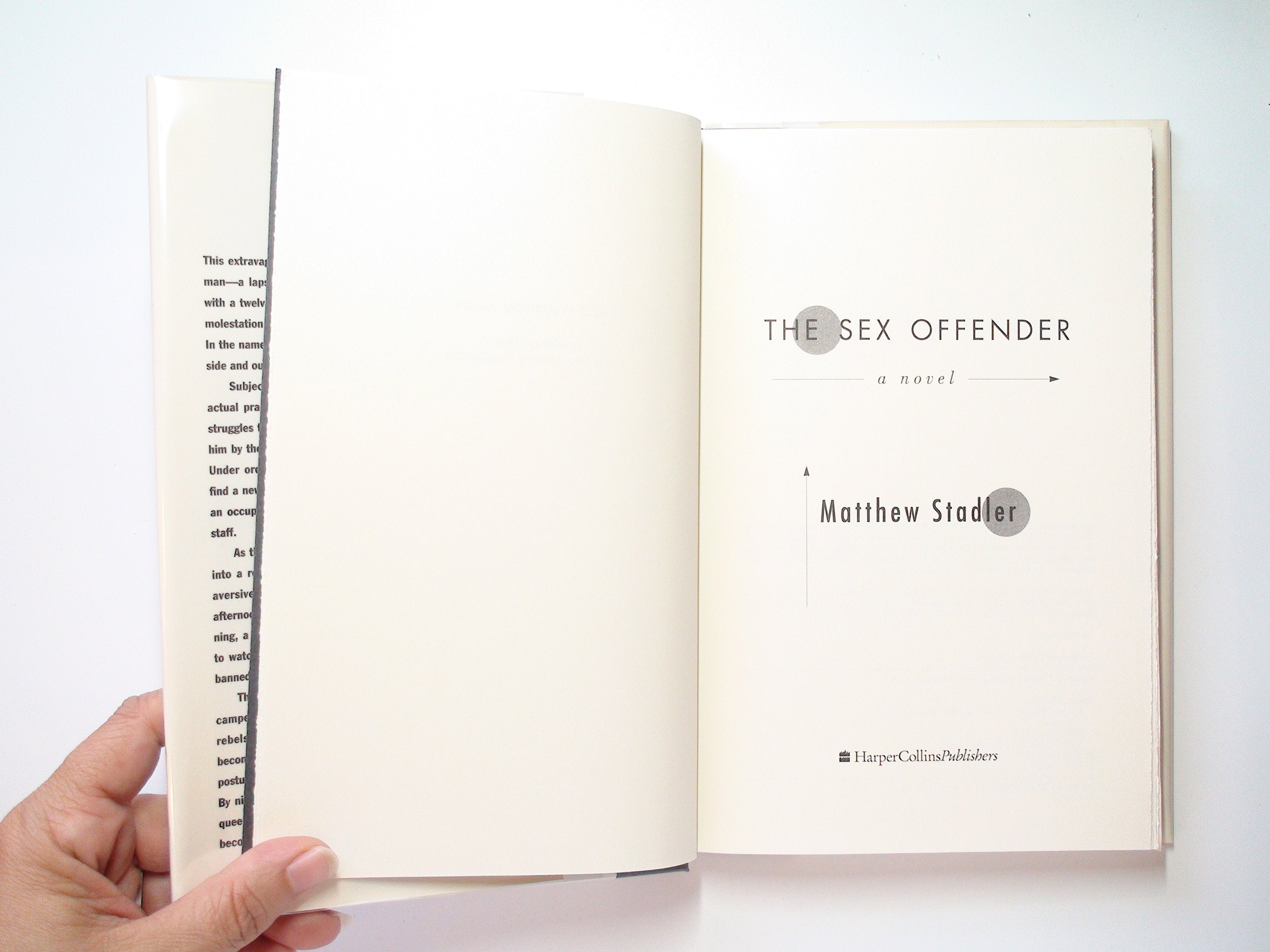 The Sex Offender, by Matthew Stadler, Stated 1st Ed, Hardcover w D/J, 1994
