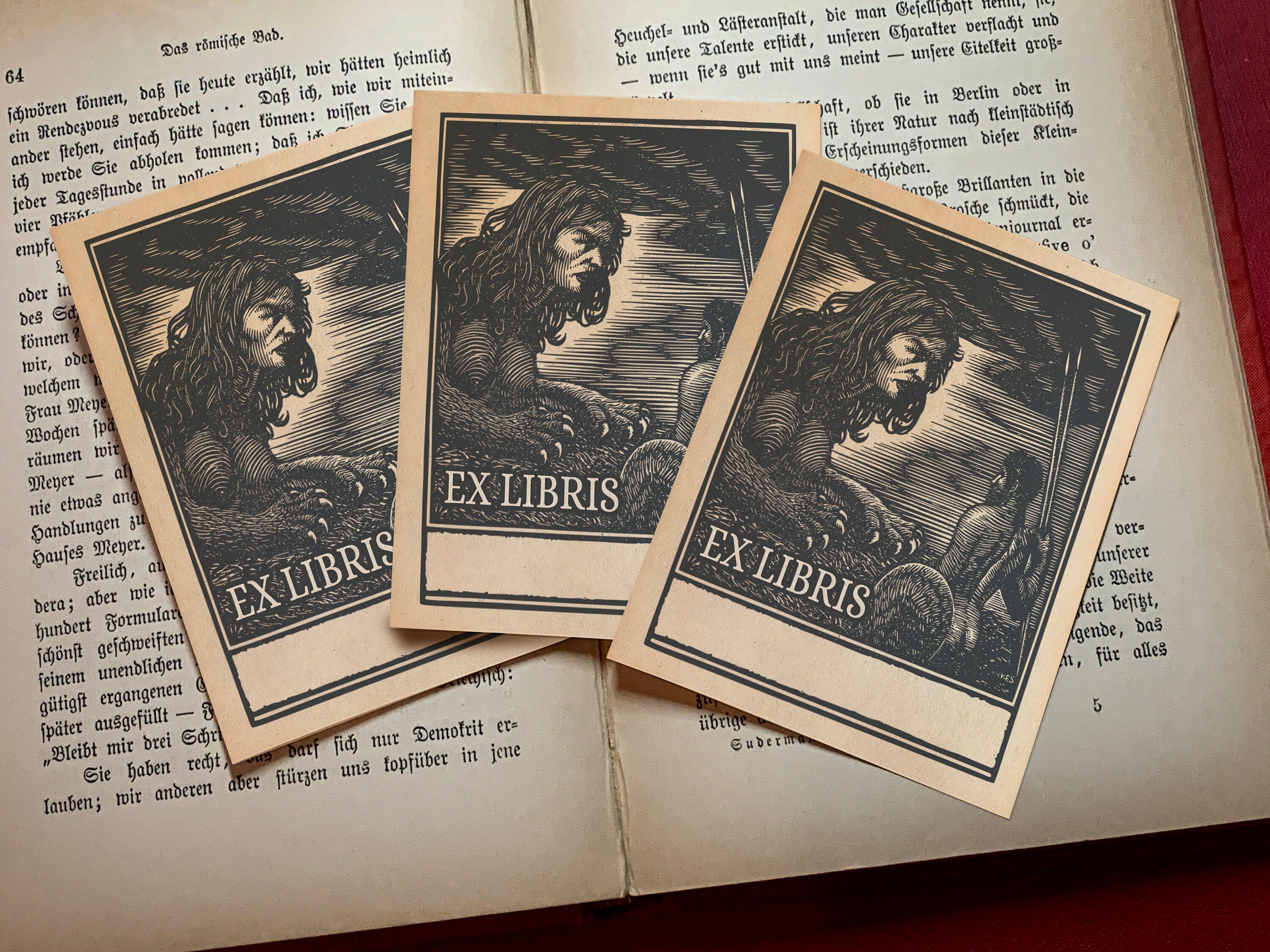 Oedipus and the Sphinx, Personalized Ex-Libris Bookplates, Crafted on Traditional Gummed Paper, 3in x 4in, Set of 30