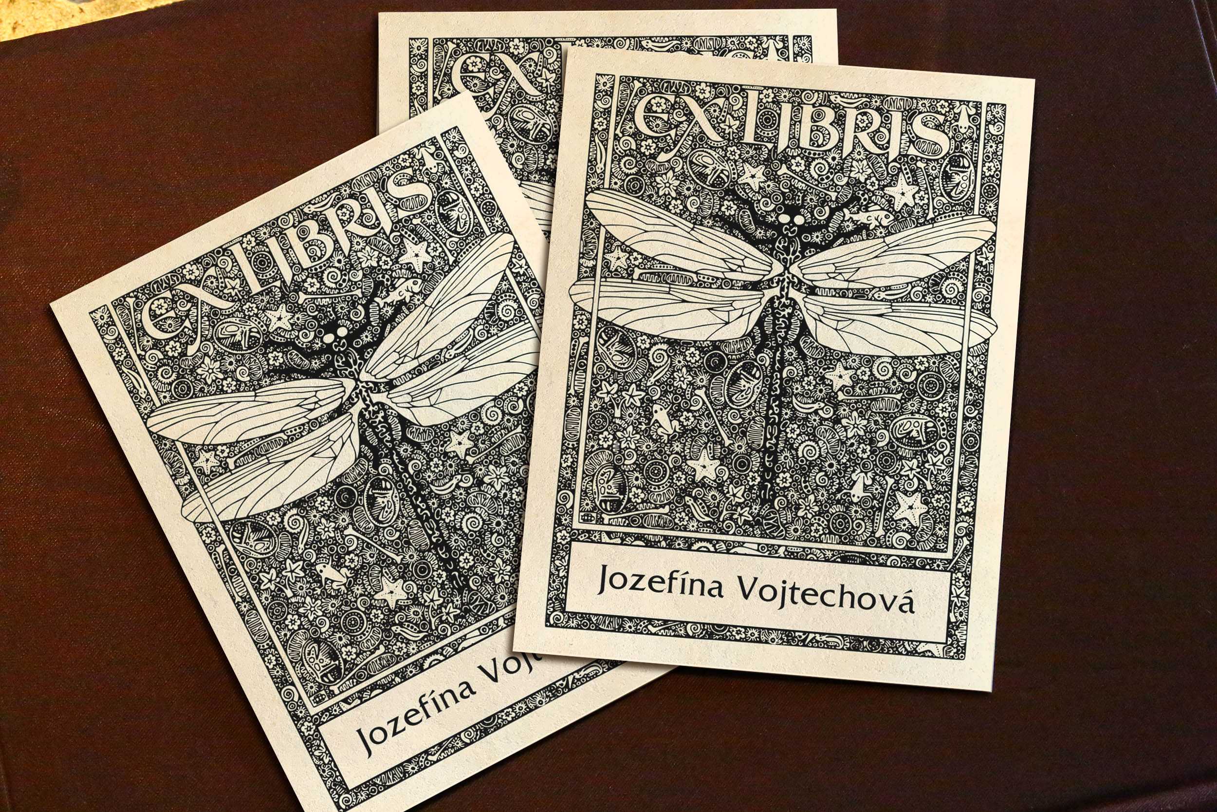 Dragonfly, Personalized Ex-Libris Bookplates, Crafted on Traditional Gummed Paper, 3in x 4in, Set of 30